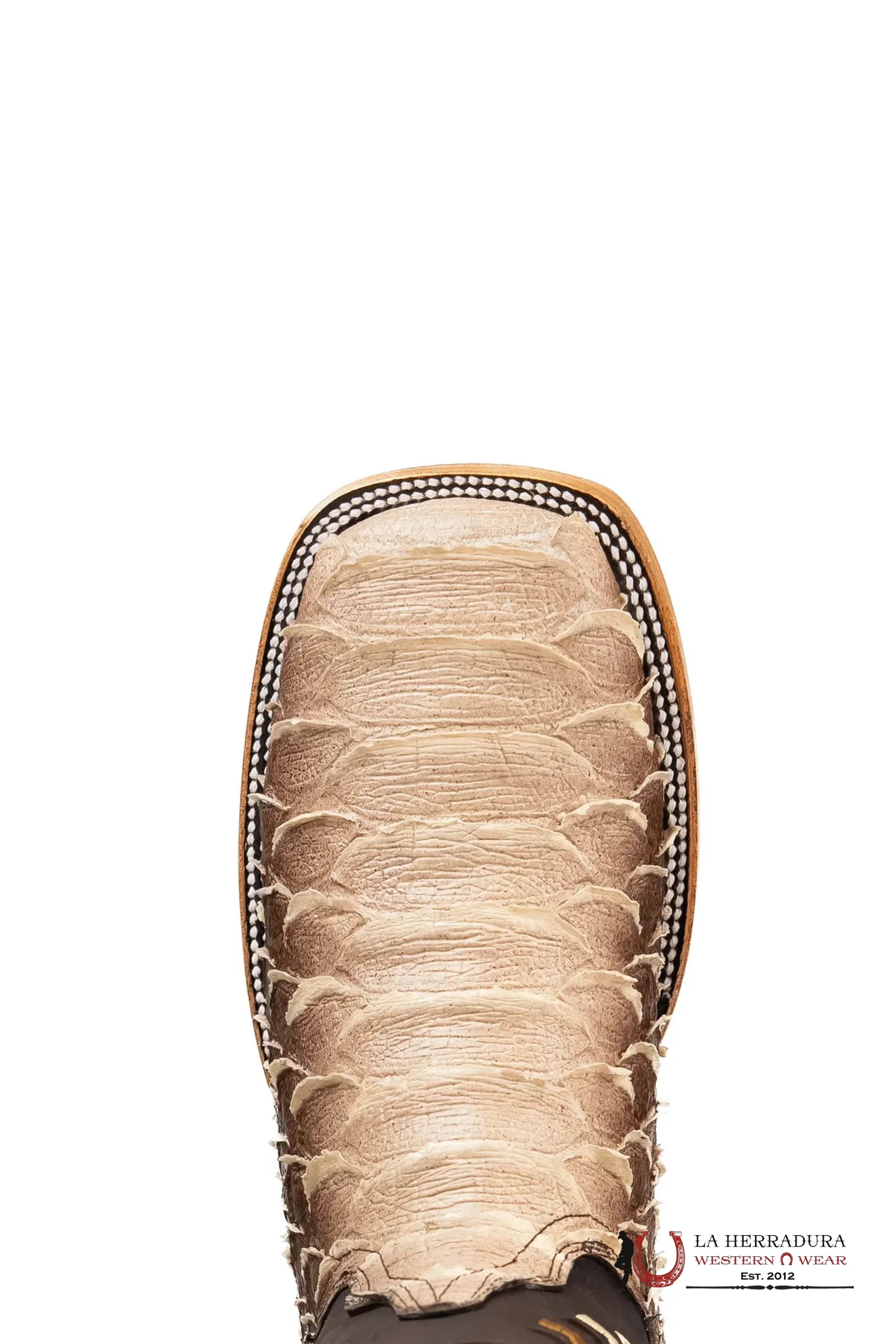 ROCKEM MEGA PYTHON CAFE SOMBREADO SQ. TOE BOOT BOTAS HOMBRES