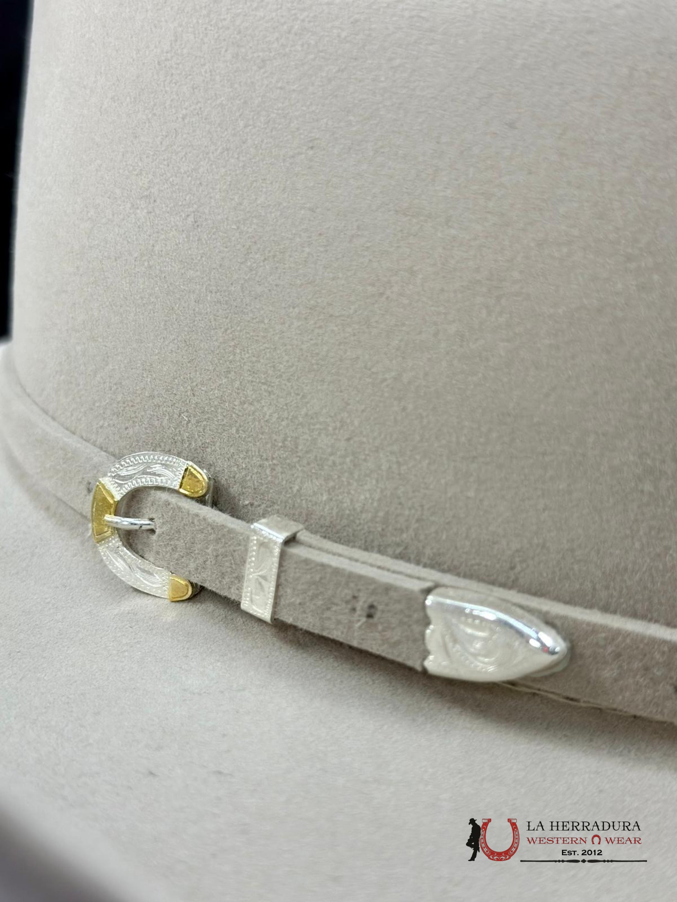 Rodeo King 1000X Silver Belly Top Hand Tejana