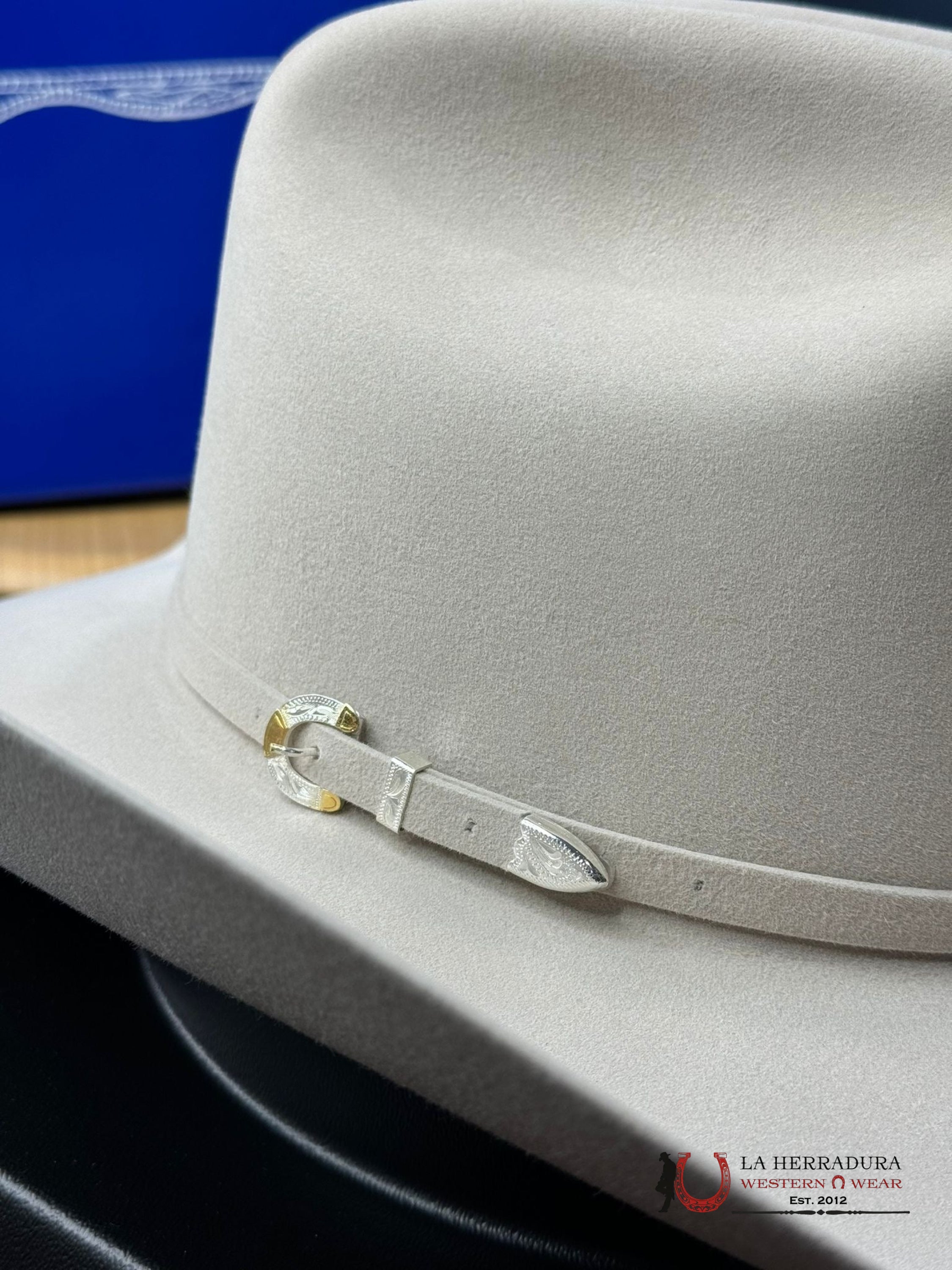 Rodeo King 1000X Silver Belly Top Hand Tejana