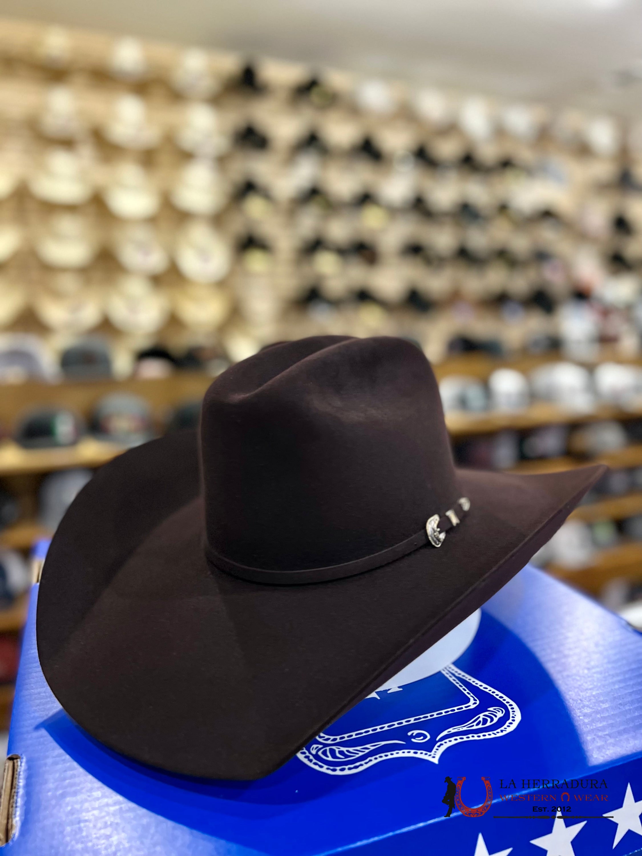 Rodeo King 100X Black Cherry Top Hand Tejana