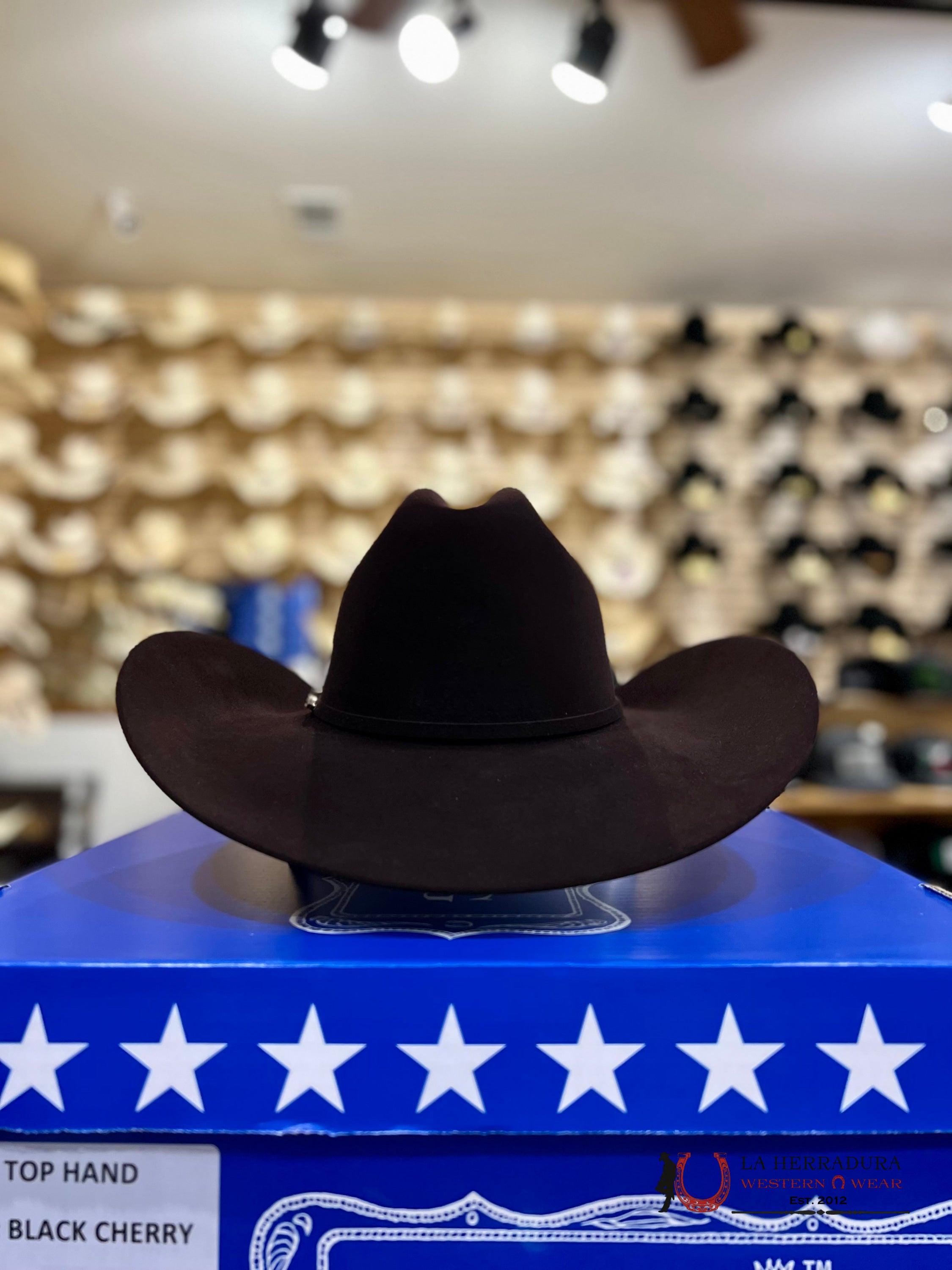 Rodeo King 100X Black Cherry Top Hand Tejana