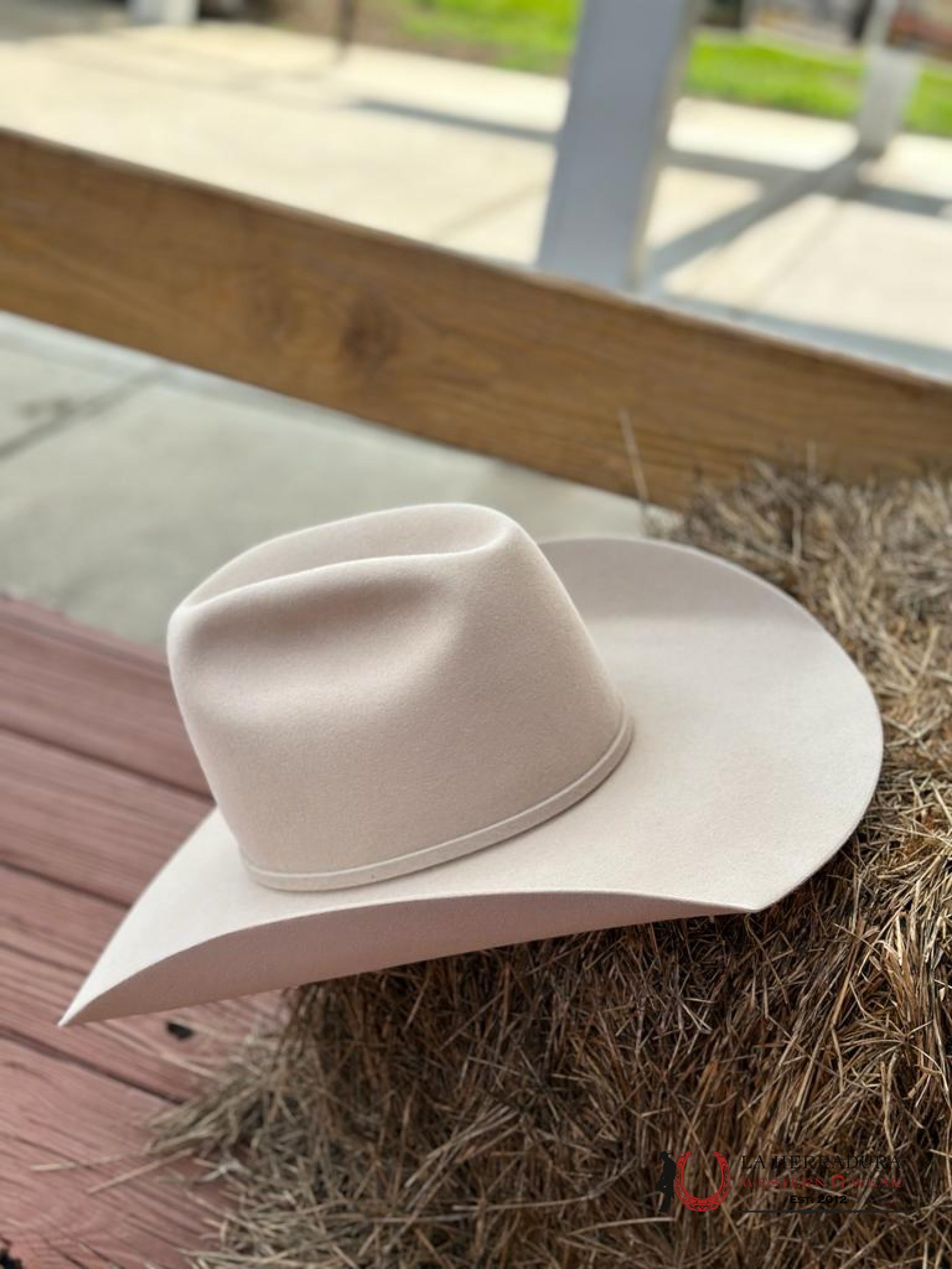 Rodeo King 10X Buckskin Open Crown Tejana