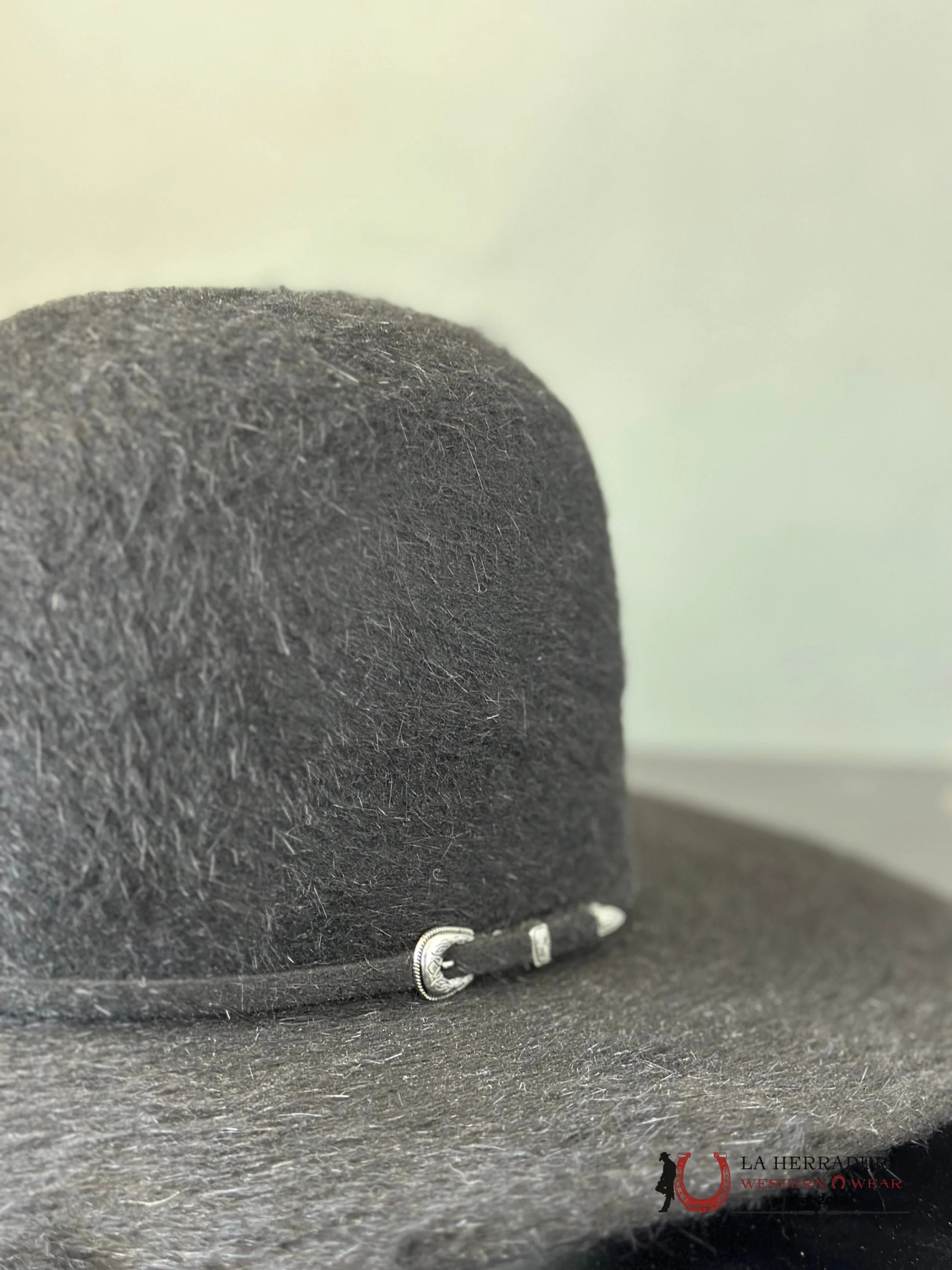 Rodeo King 10X Grizzly Black Open Crown Tejana