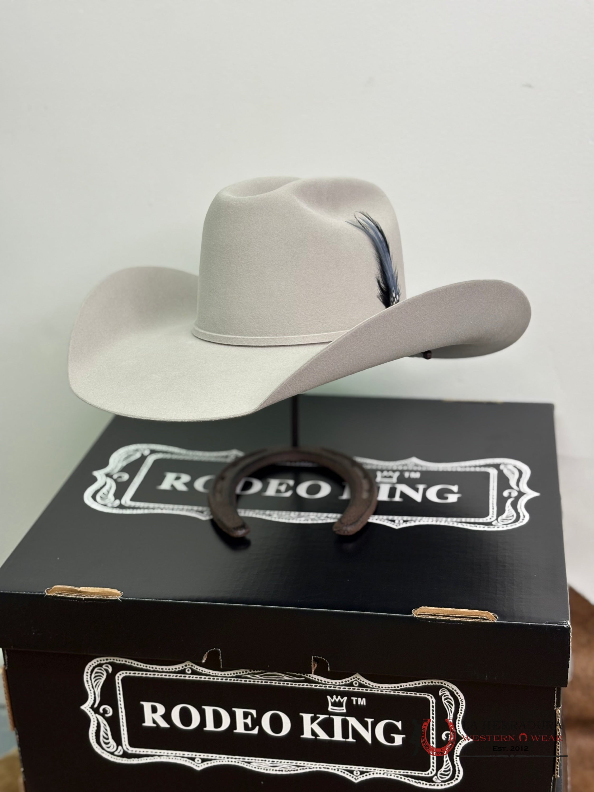 Rodeo King 10x Silver Belly Open Crown Malboro Shape TEJANA