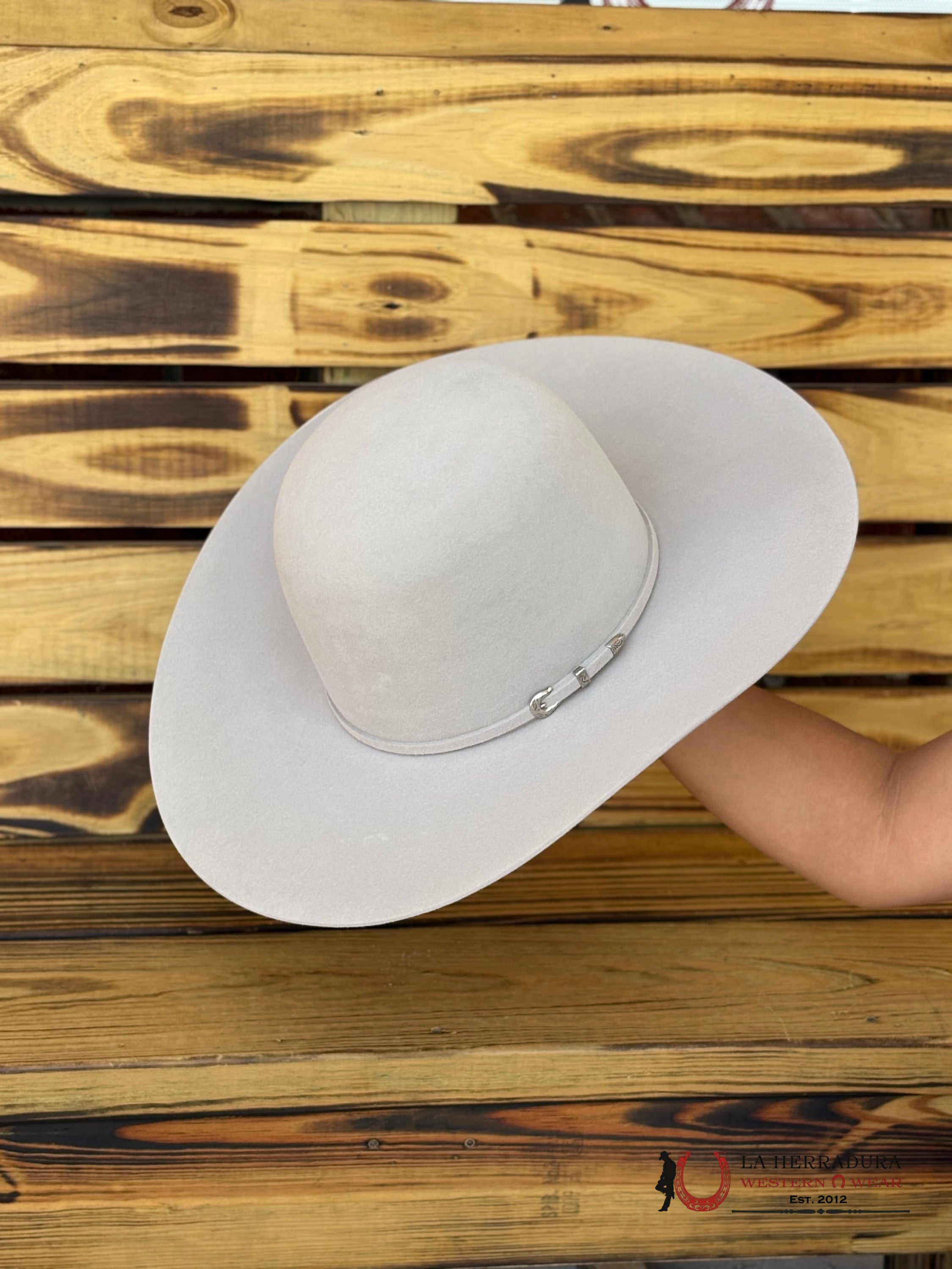 Rodeo King 10x Silver Belly Open Crown Malboro Shape TEJANA