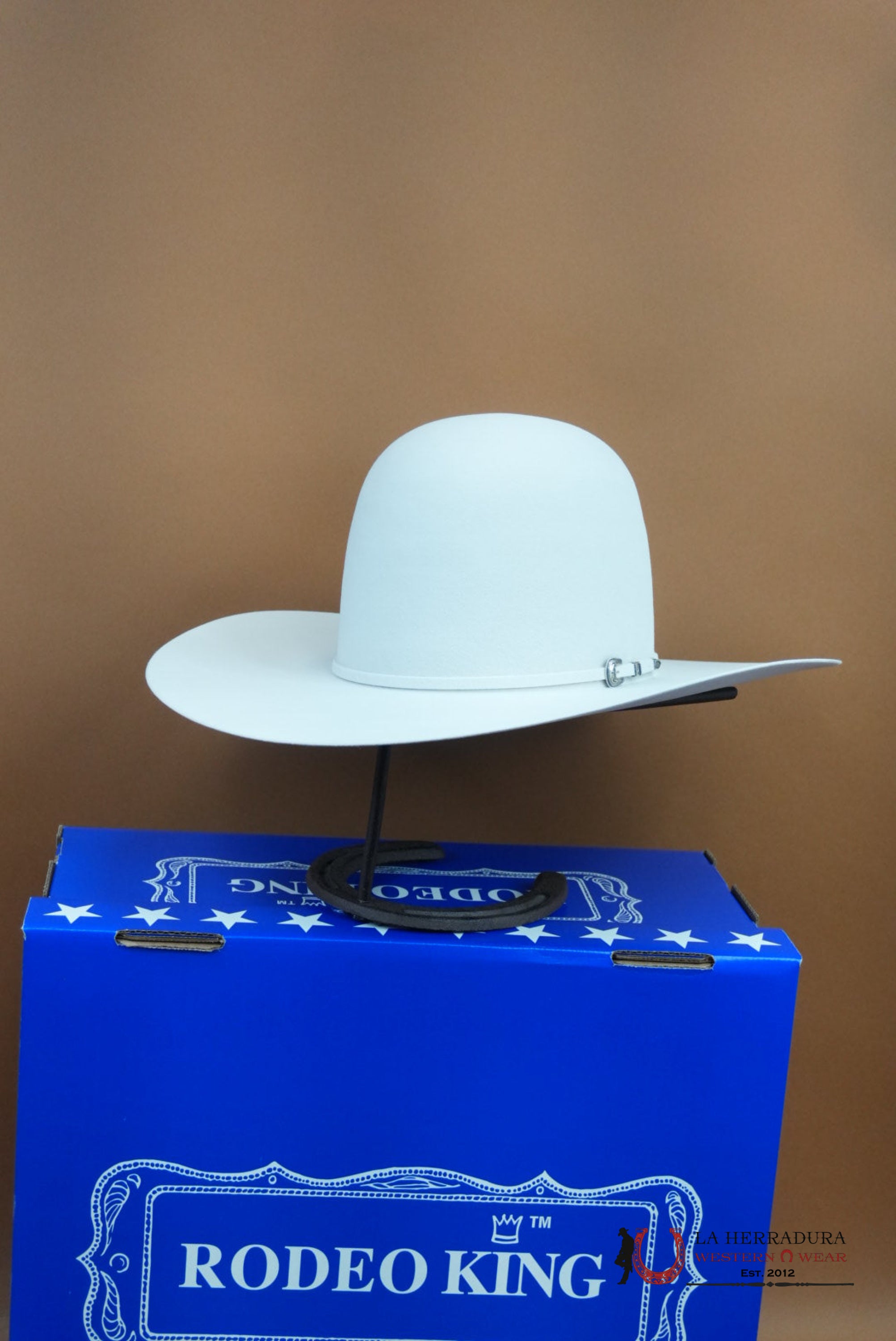 RODEO KING 30x Silver Mist Open Crown TEJANA