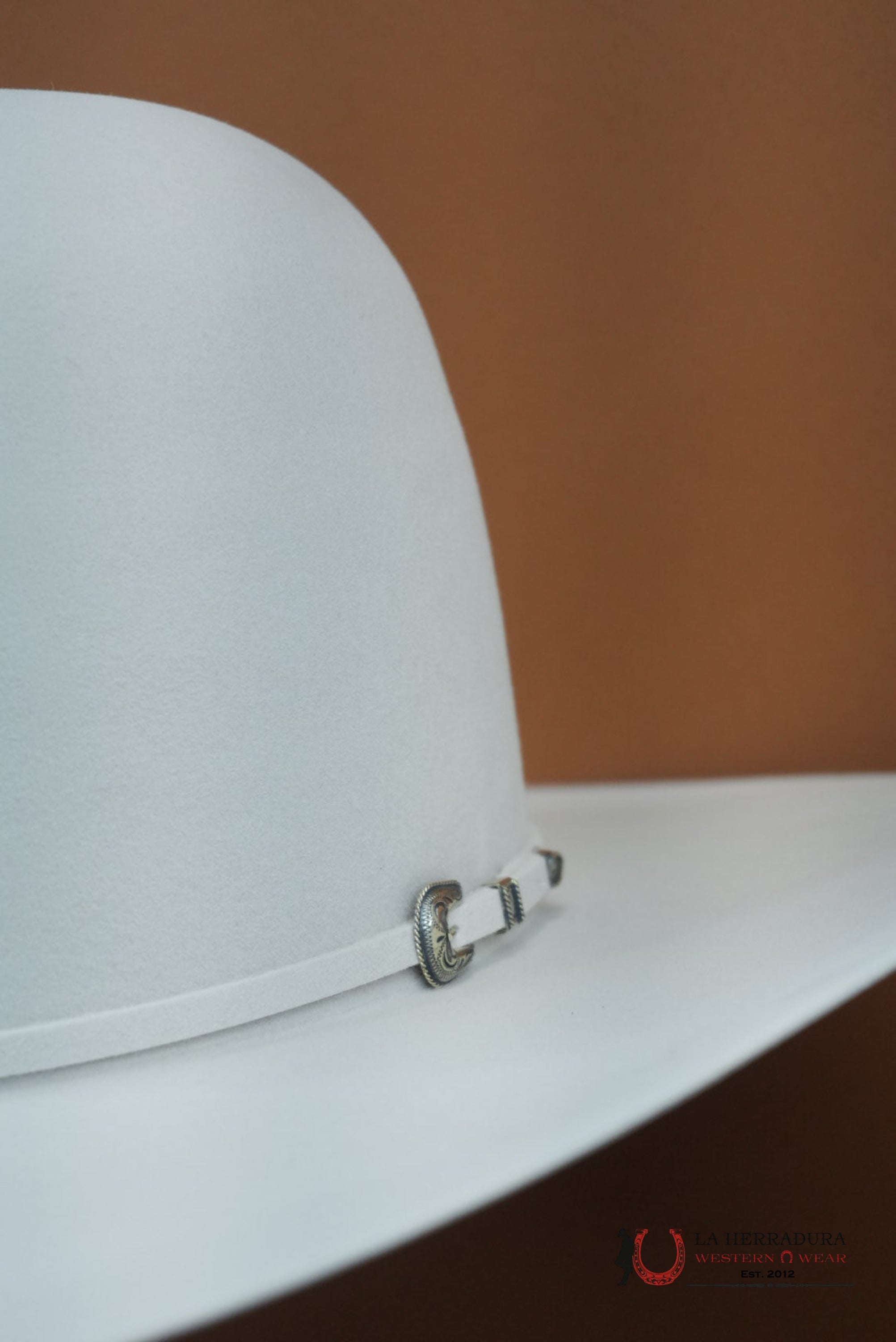 RODEO KING 30x Silver Mist Open Crown TEJANA