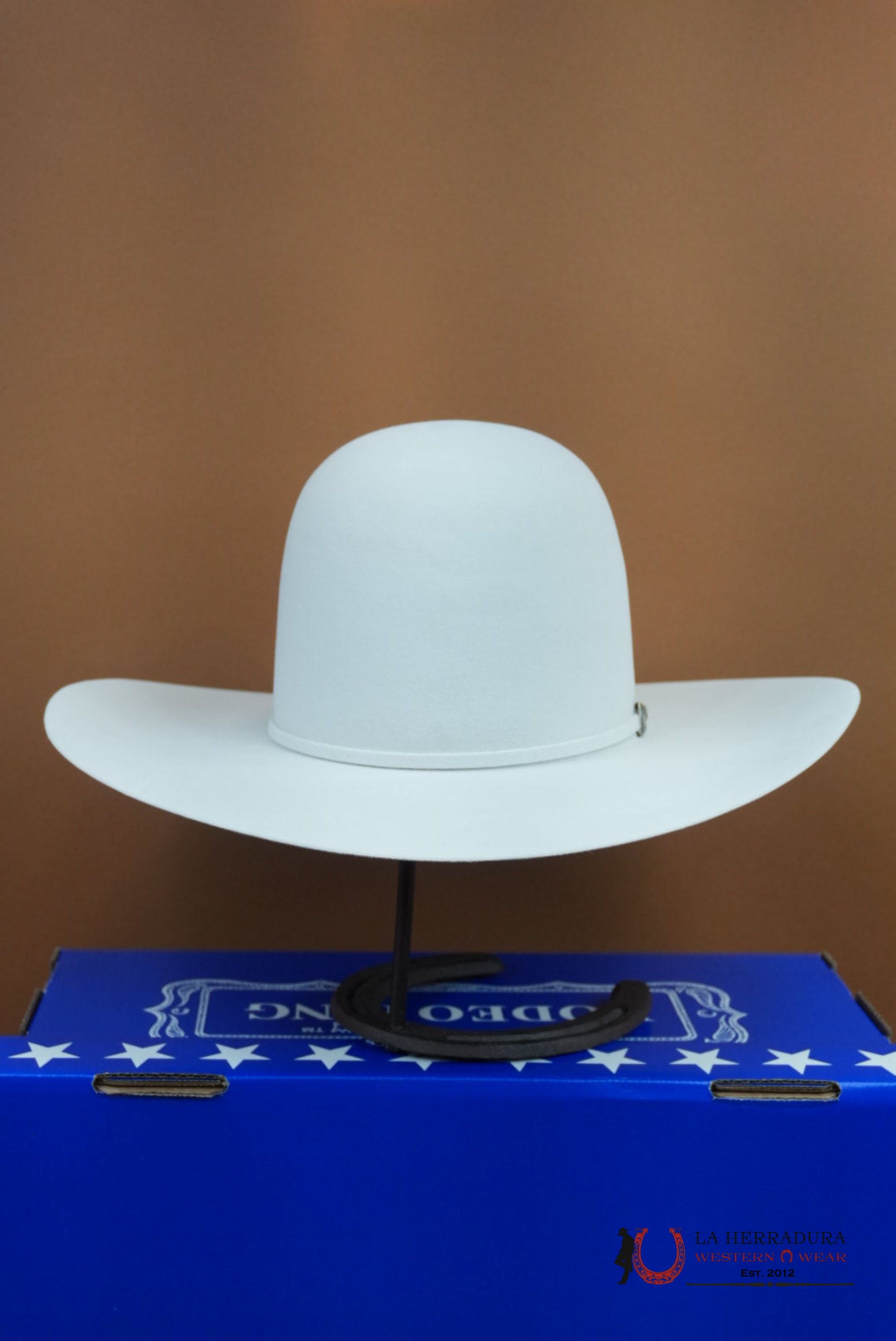 RODEO KING 30x Silver Mist Open Crown TEJANA