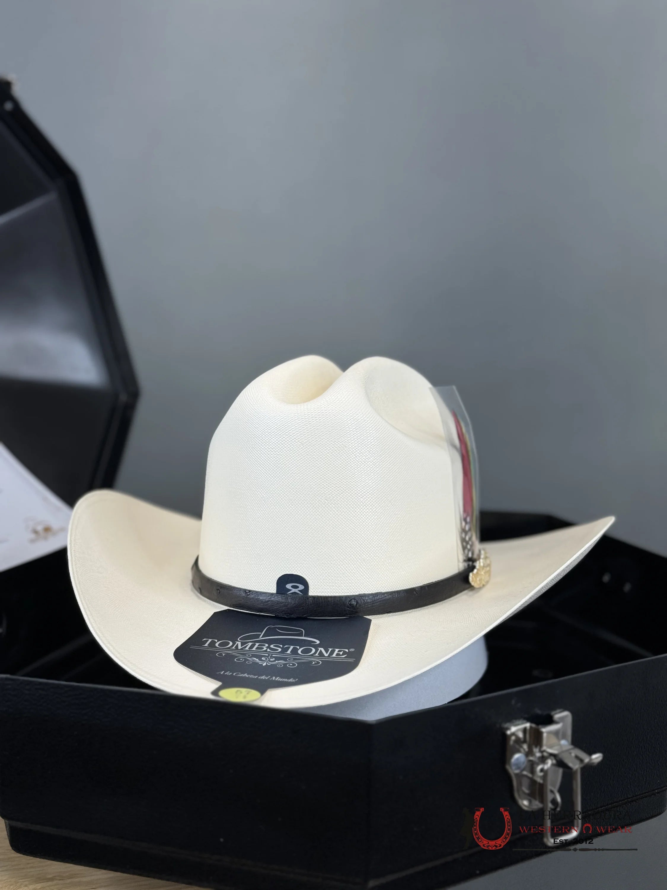 Sombrero Tombstone 10 000X Premium El Chaparral Sinaloa Tejana