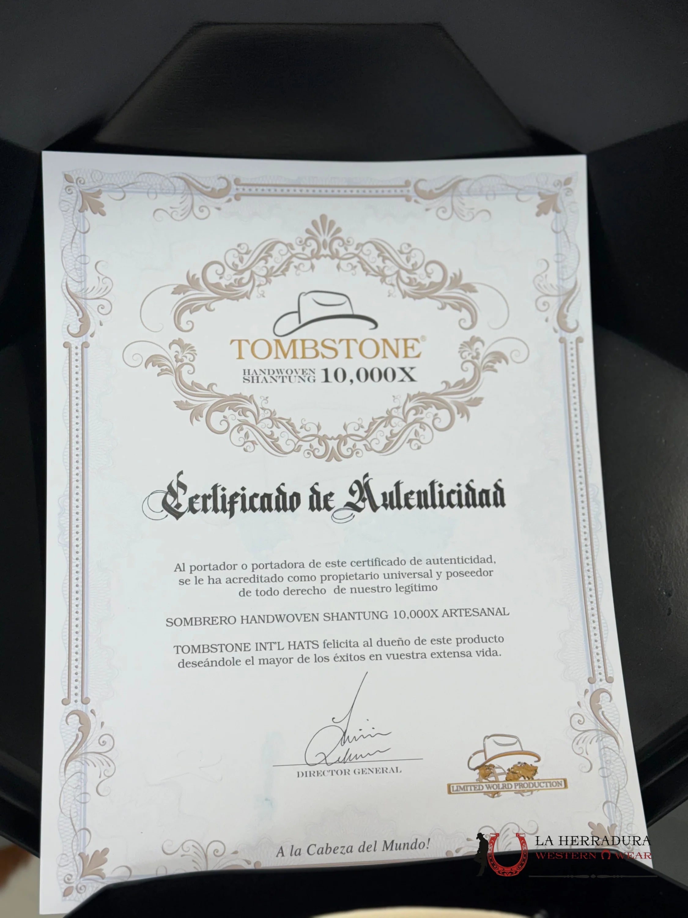 Sombrero Tombstone 10 000X Premium El Chaparral Sinaloa Tejana