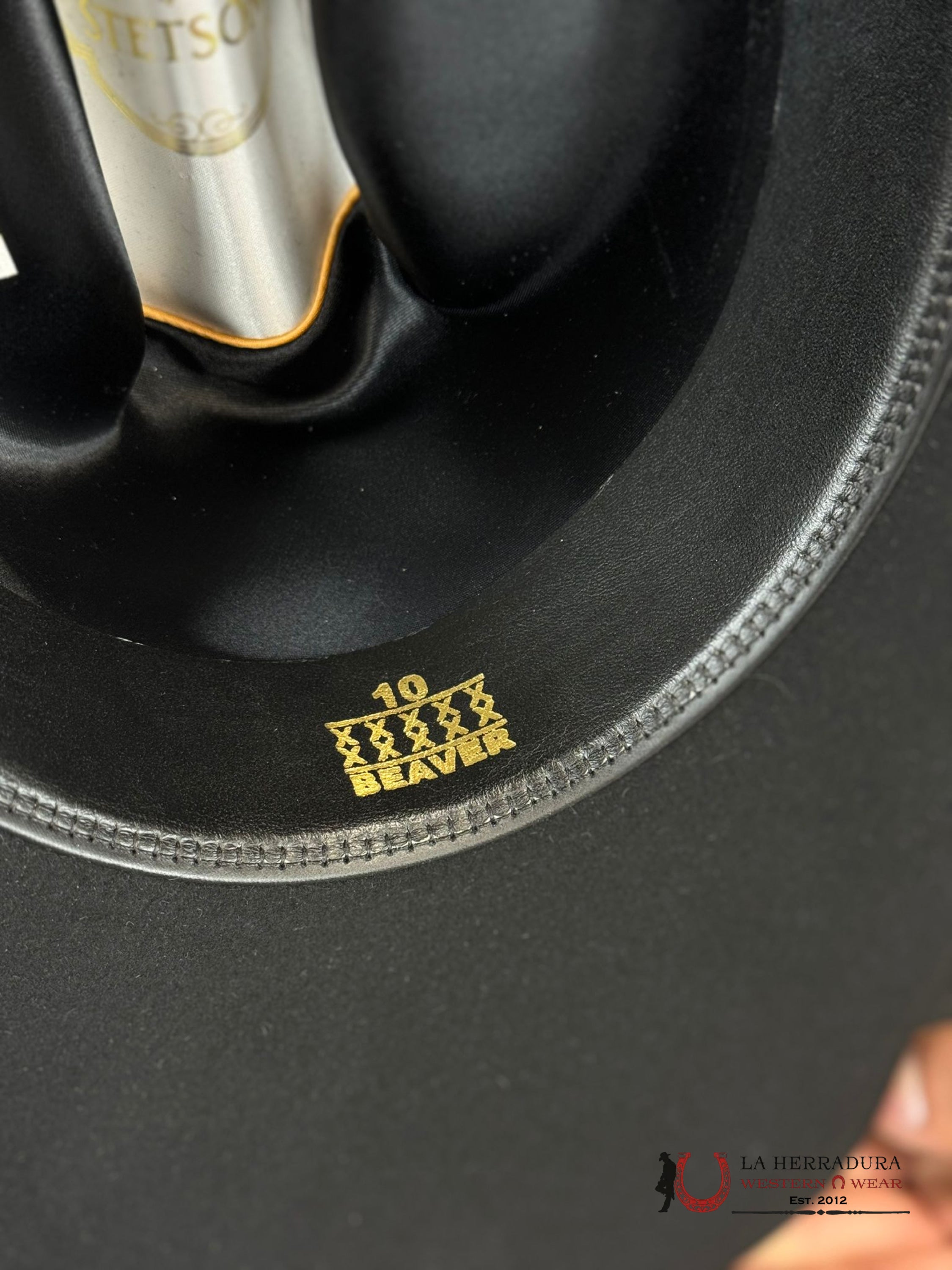 Stetson 10X Shasta Black Tejana