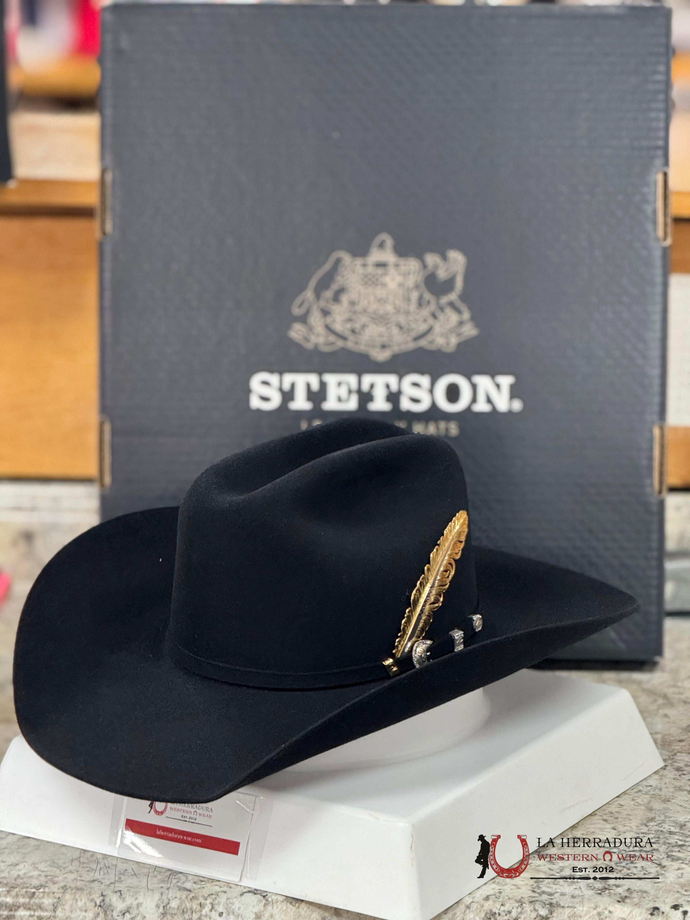 Stetson 10X Shasta Black Tejana