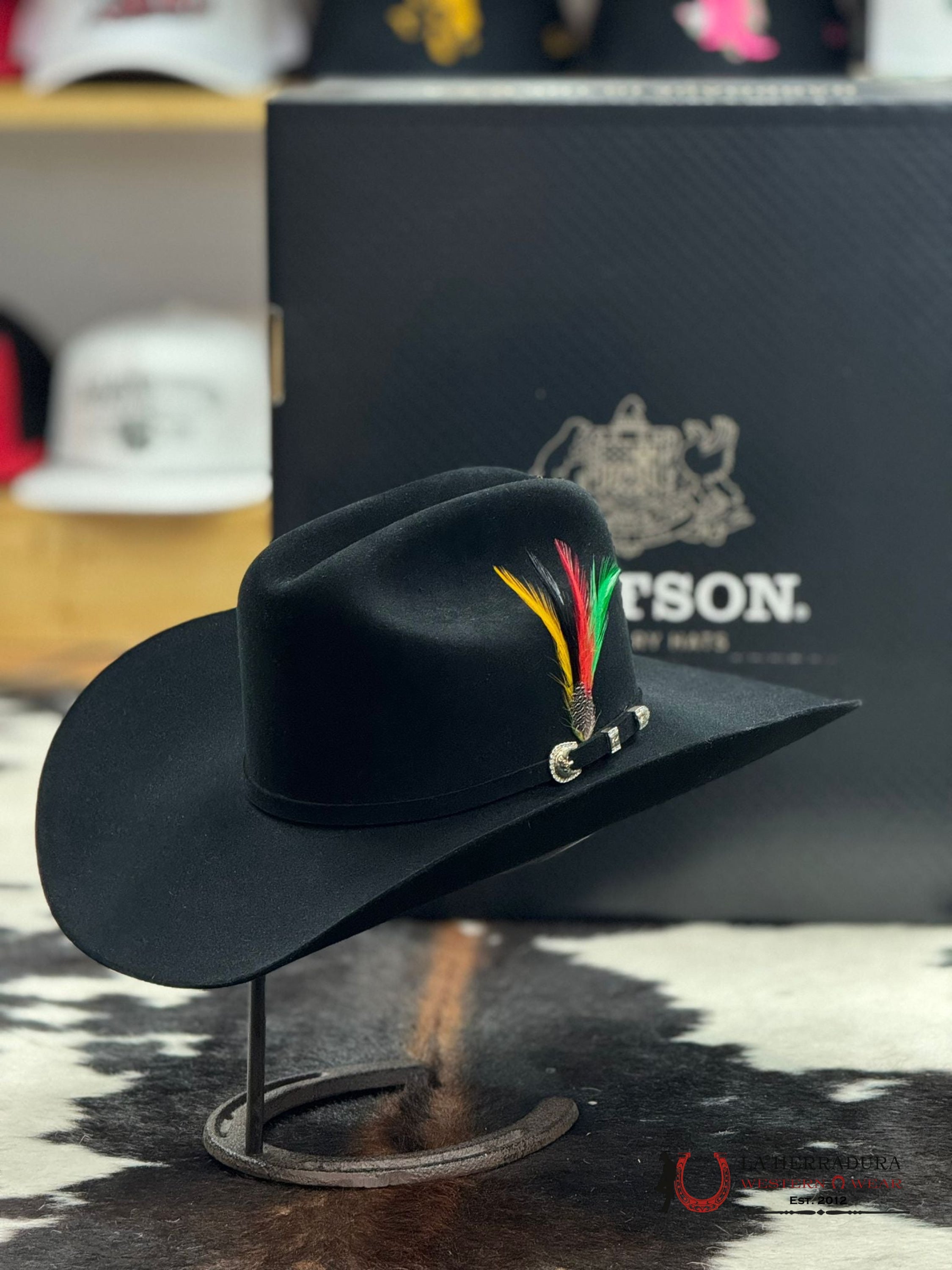 Stetson 10X Shasta Black Tejana