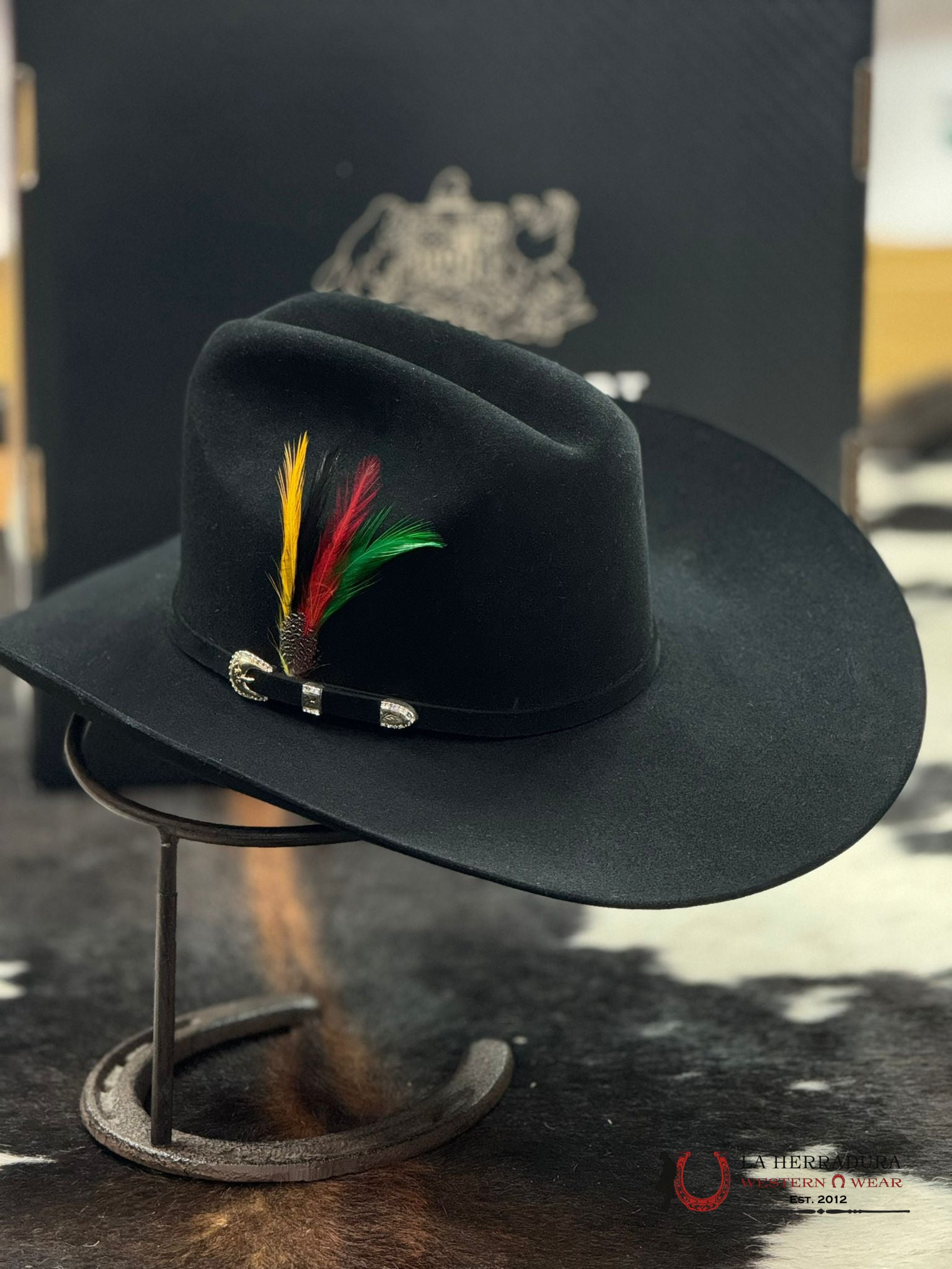 Stetson 10X Shasta Black Tejana
