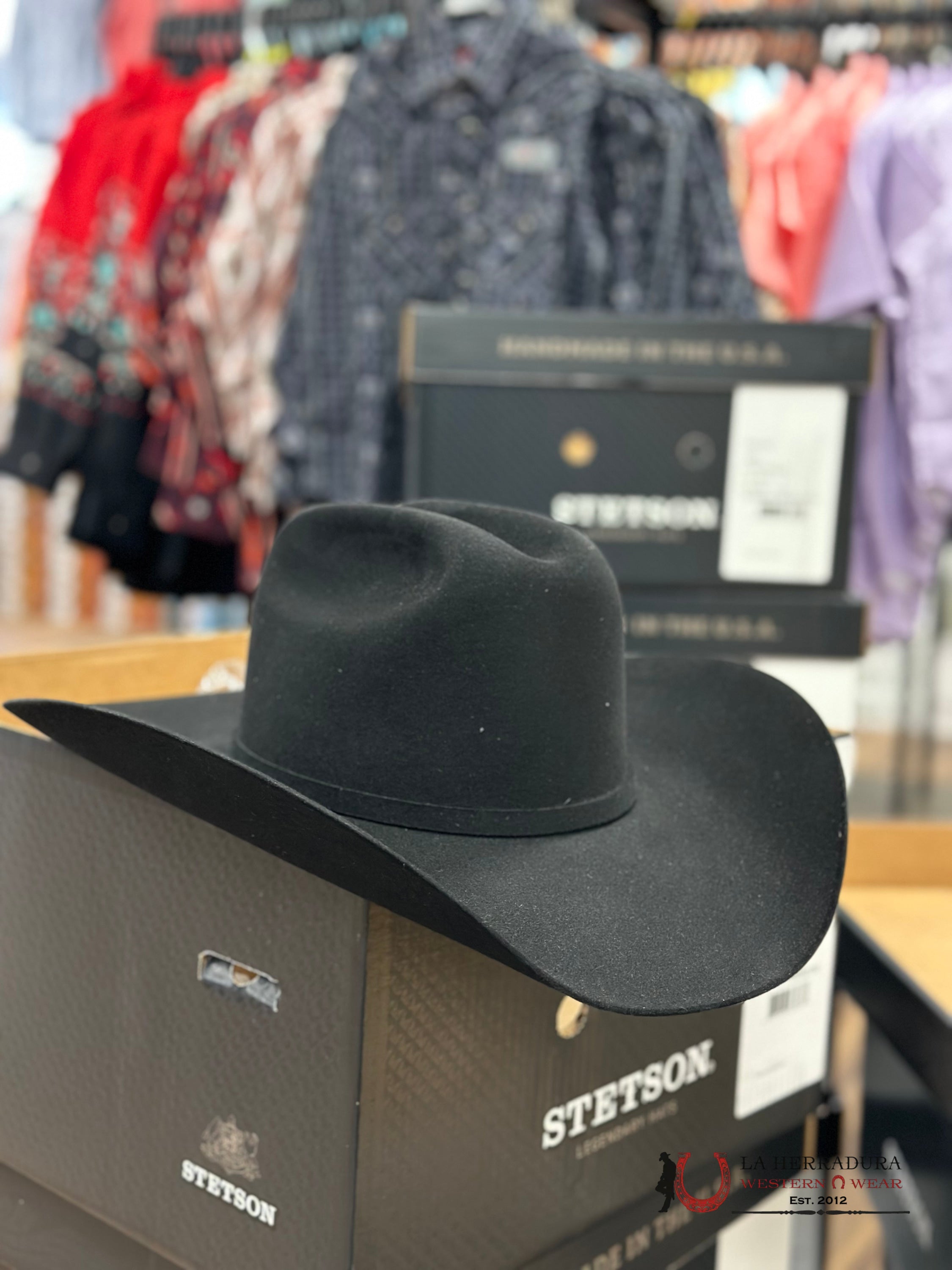 Stetson 10X Shasta Black Tejana