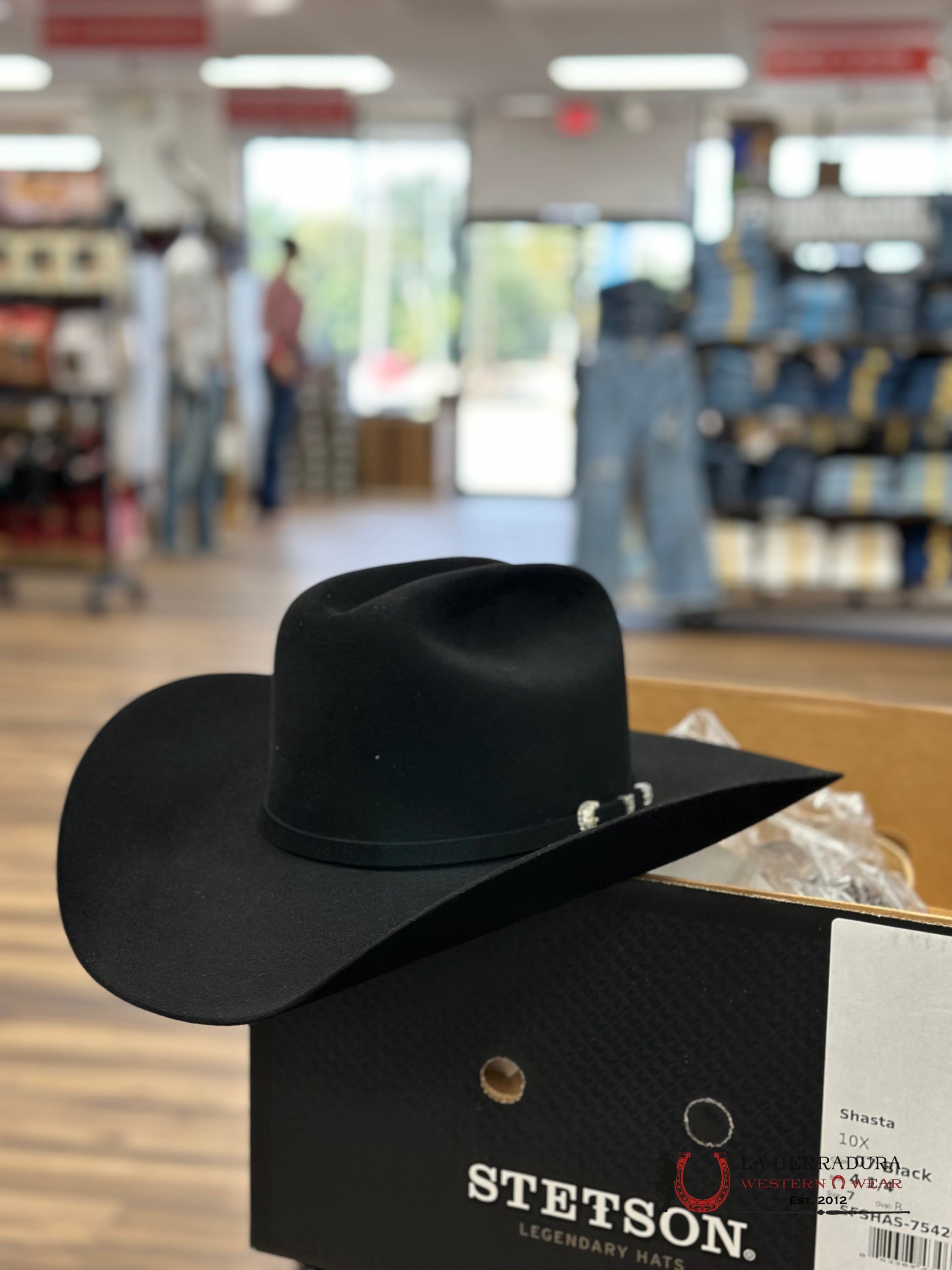 Stetson 10X Shasta Black Tejana
