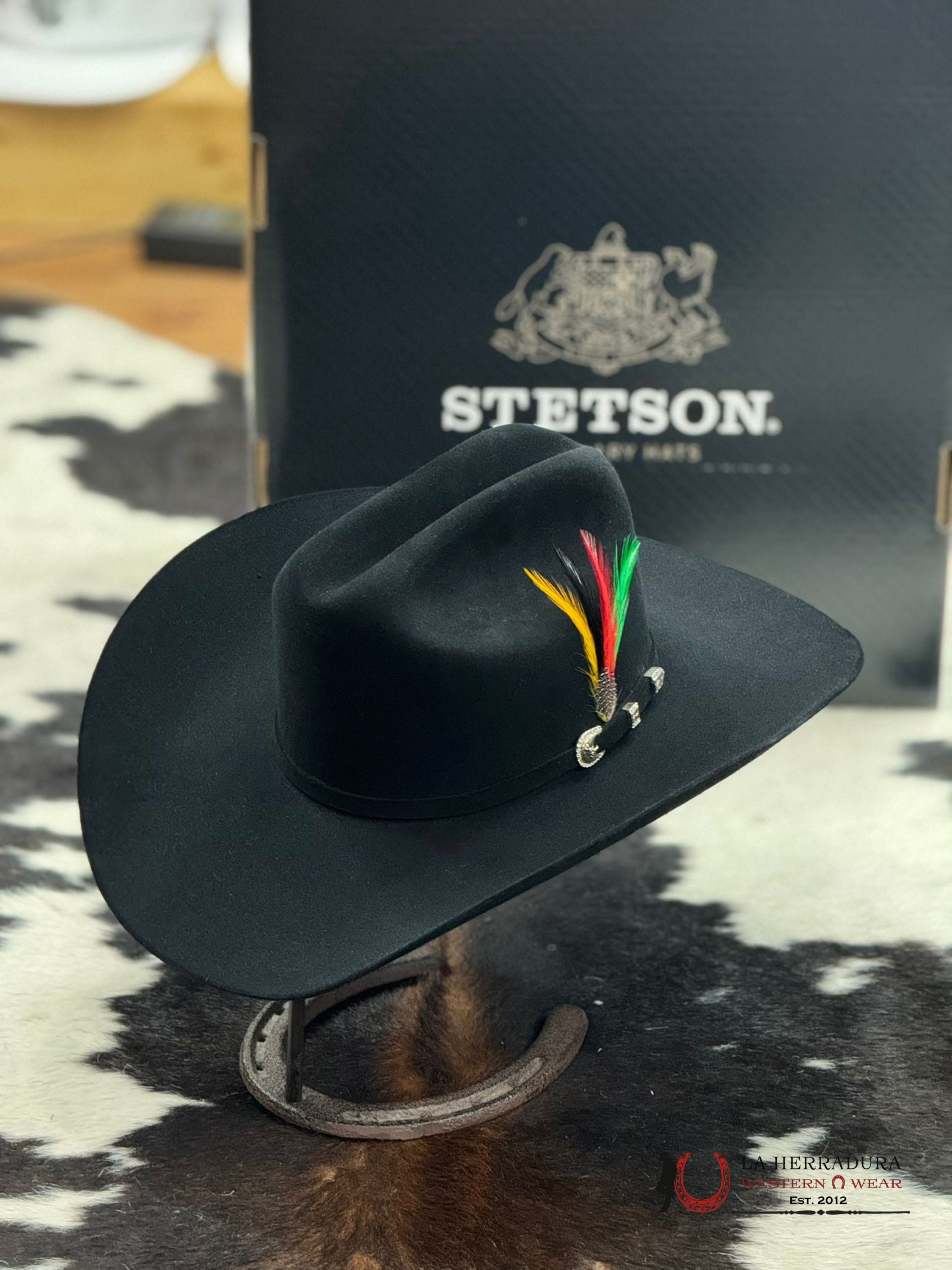 Stetson 10X Shasta Black Tejana