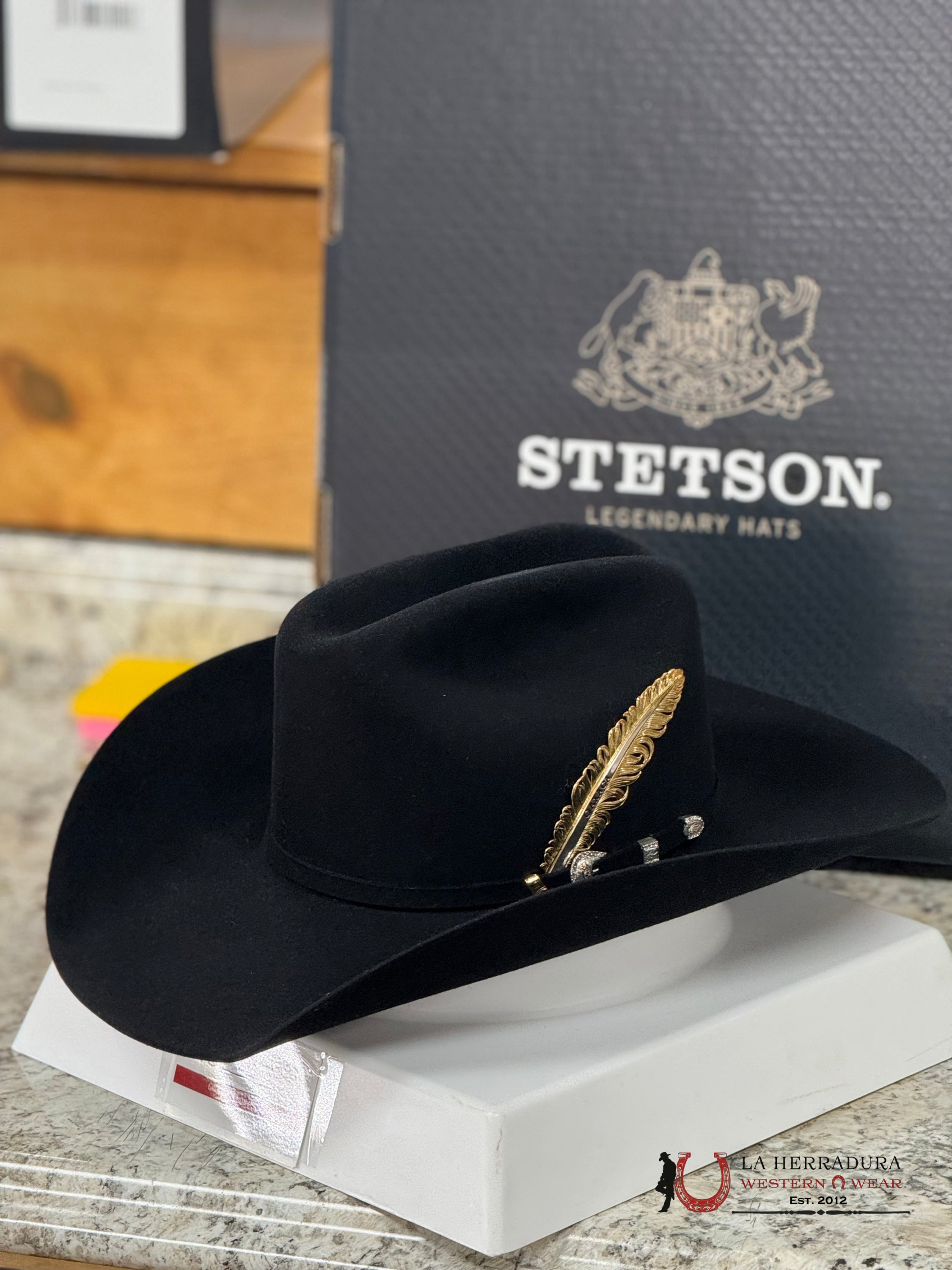 Stetson 10X Shasta Black Tejana