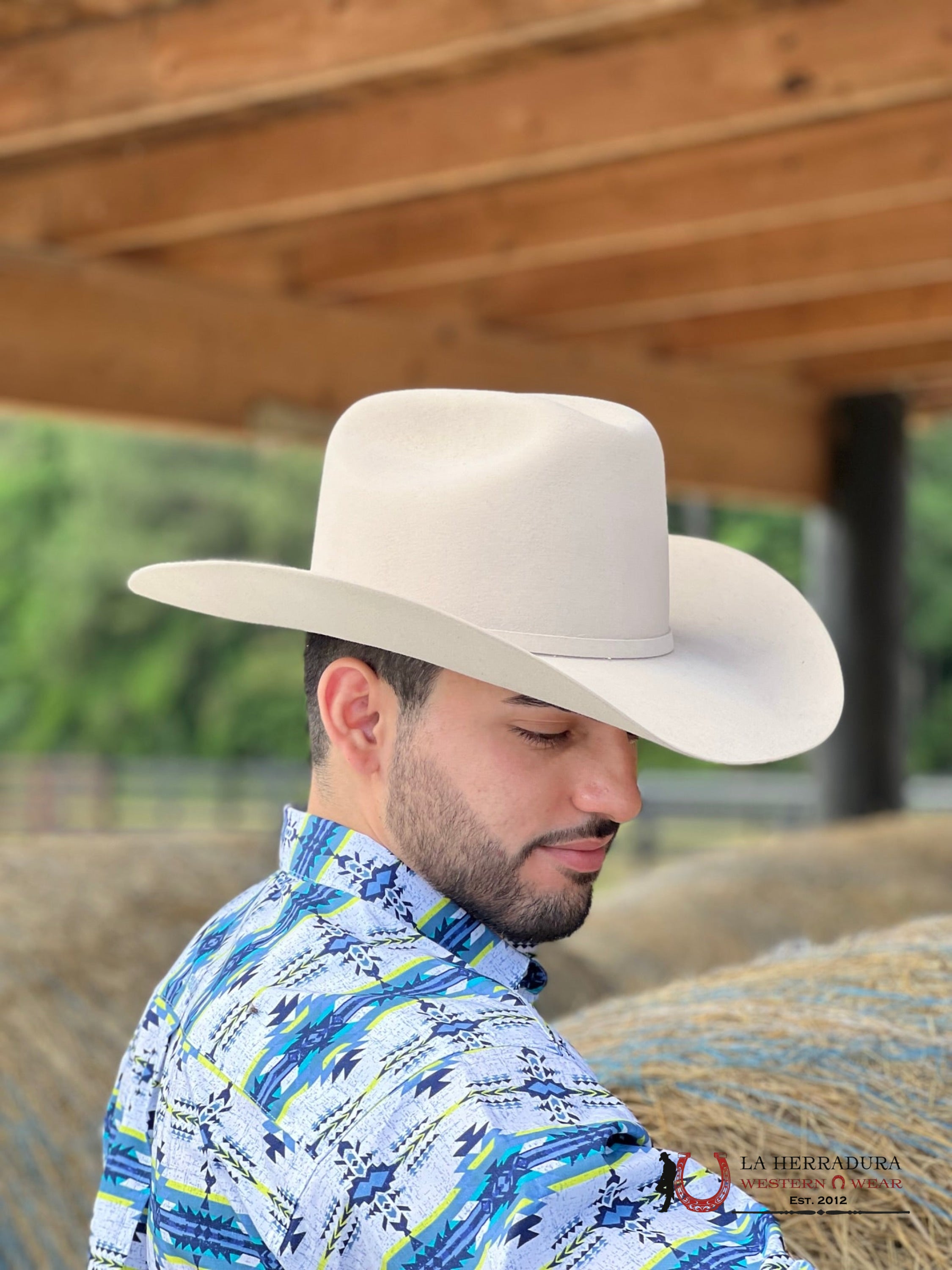Stetson 10X Shasta Silver Belly Tejana