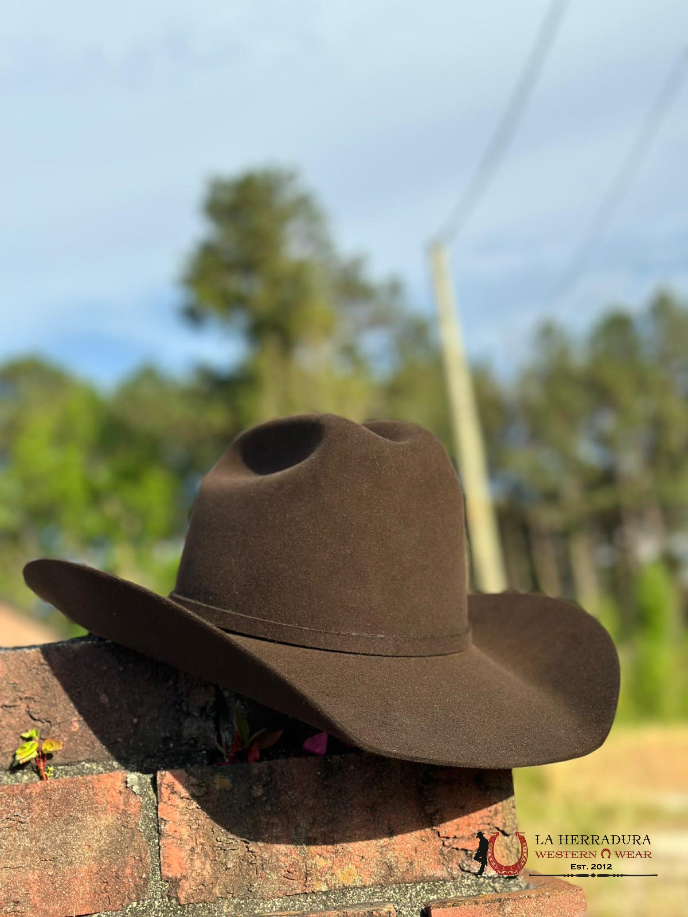 30X Stetson El Patron Momocha Chocolate Tejana