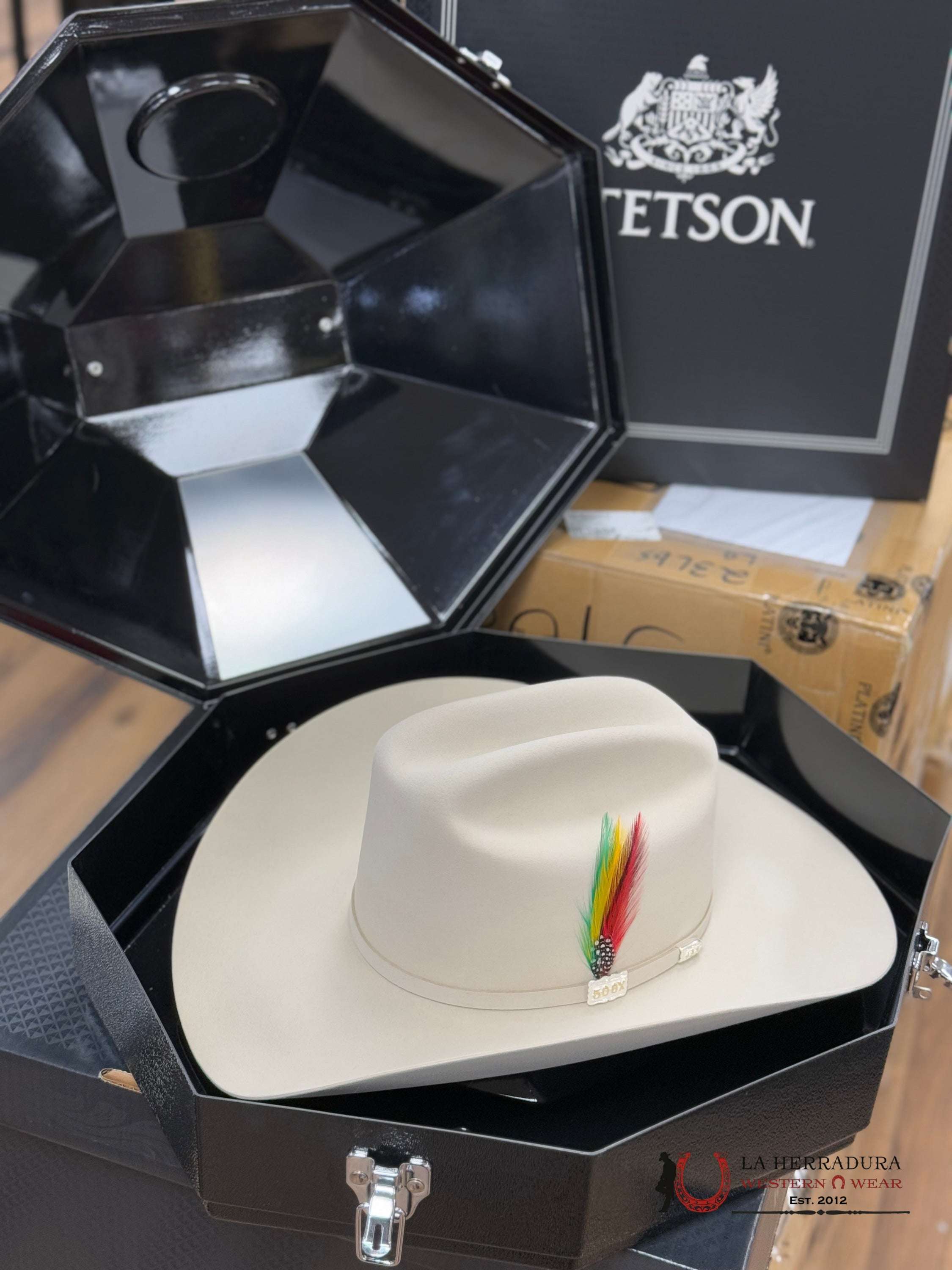 STETSON 500X PREMIER EL AMO PLATA VIENTRE – Laherradurawwnc.com
