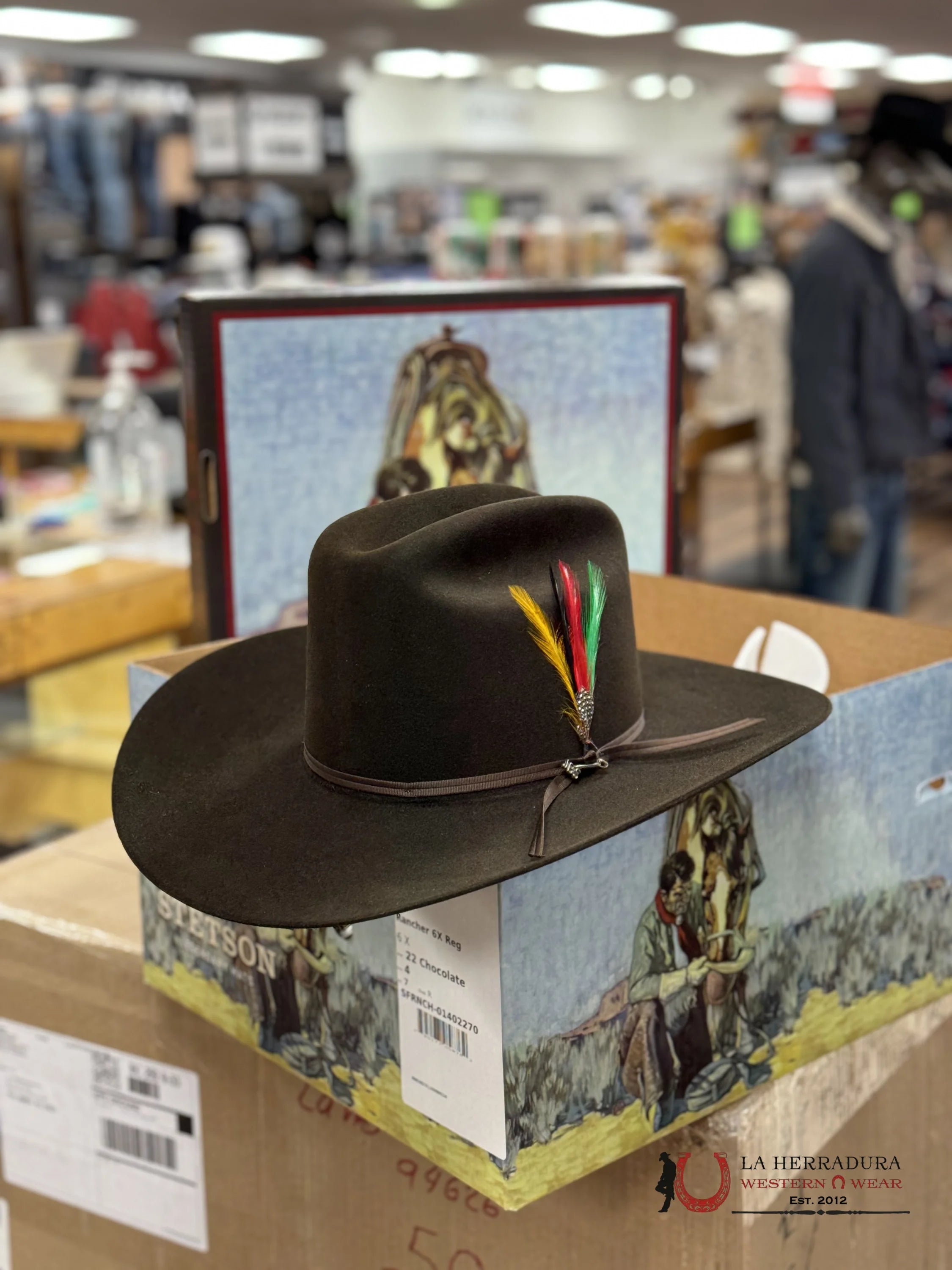 Stetson 6X Rancher Copa Alta Chocolate Tejana