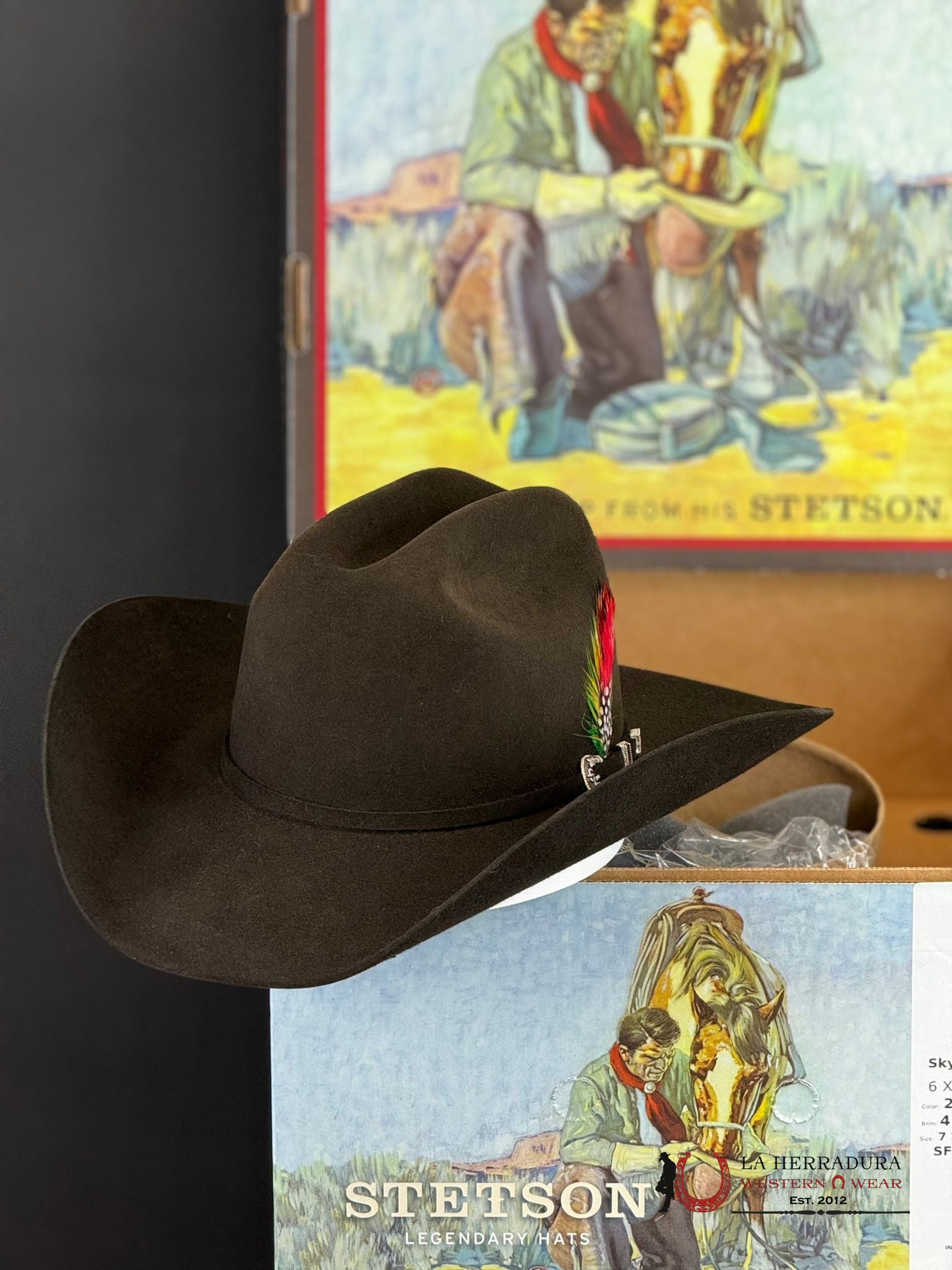 Stetson Skyline 6X Chocolate Tejana
