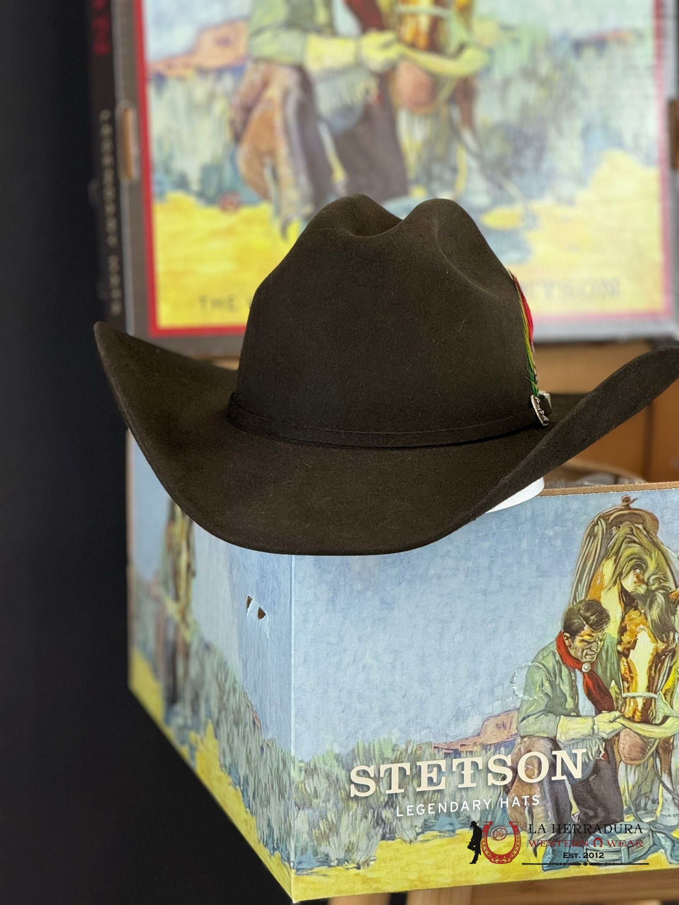 Stetson Skyline 6X Chocolate Tejana