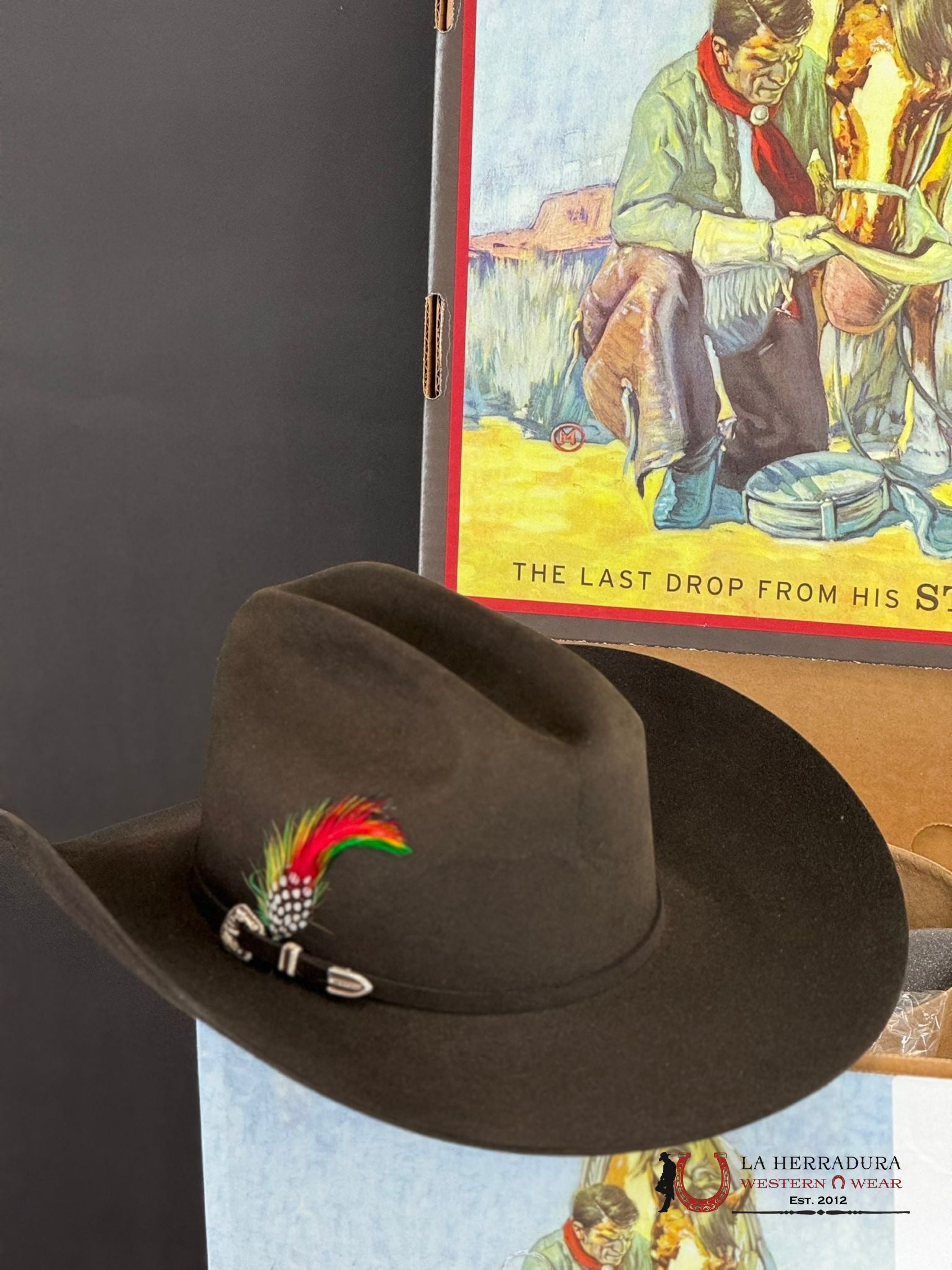 Stetson Skyline 6X Chocolate Tejana