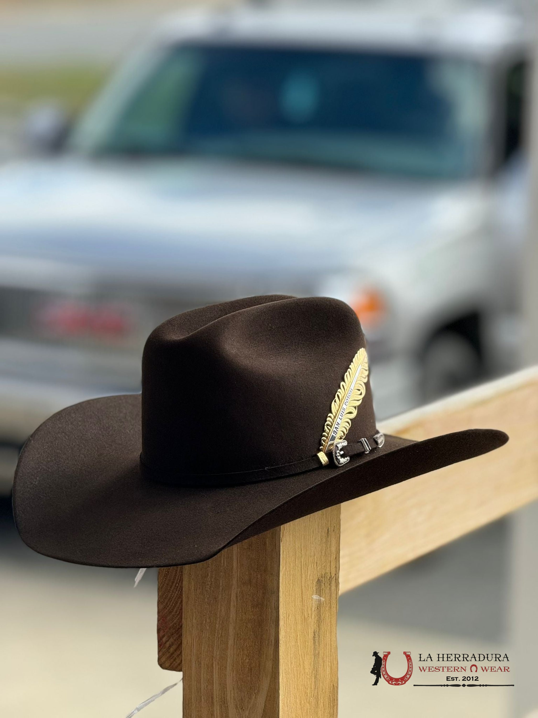 Stetson Skyline 6X Chocolate Tejana