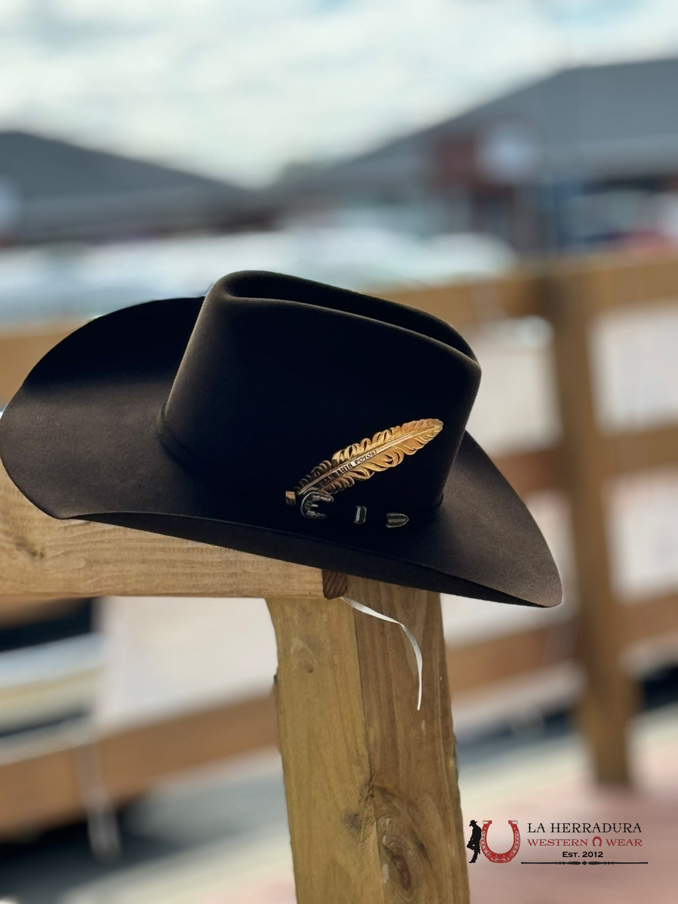 Stetson Skyline 6X Chocolate Tejana