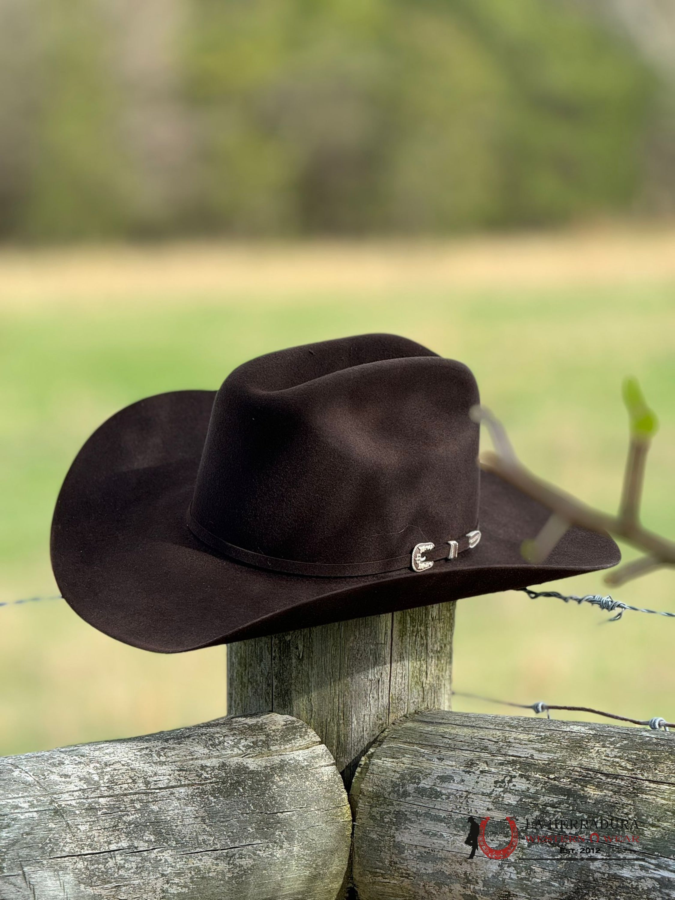 Stetson Skyline 6X Chocolate Tejana