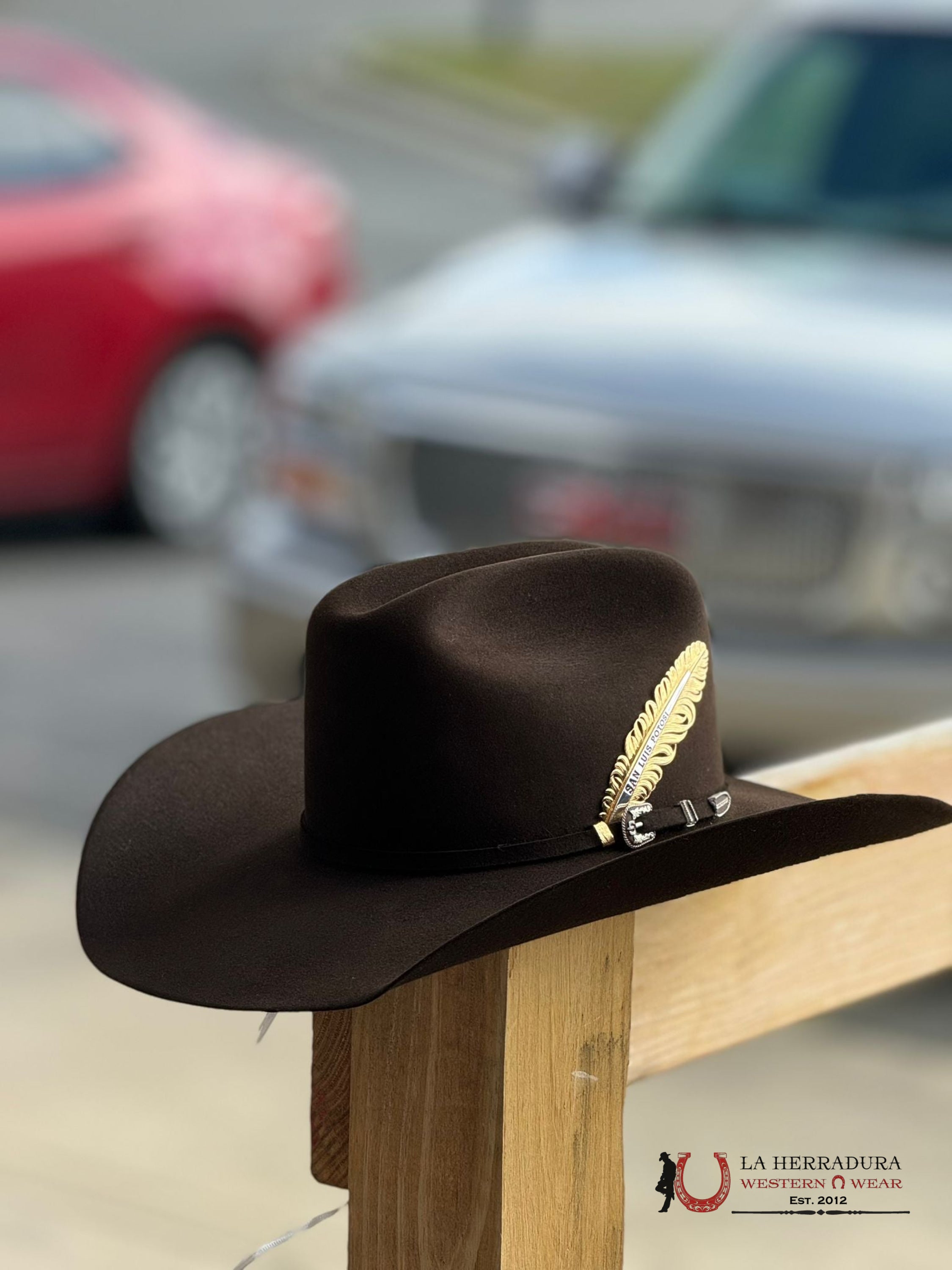 Stetson Skyline 6X Chocolate Tejana