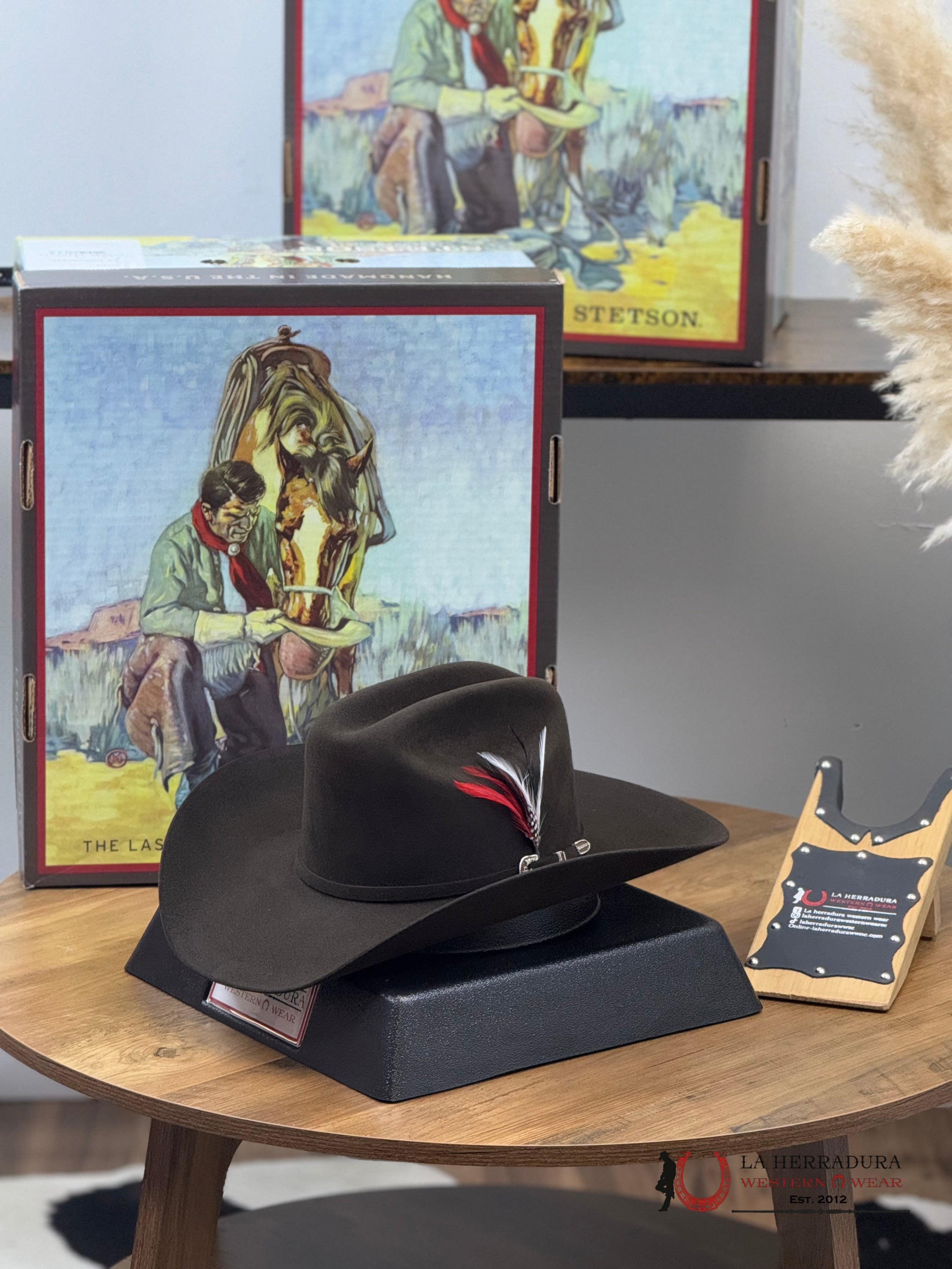 Stetson Skyline 6X Chocolate Tejana