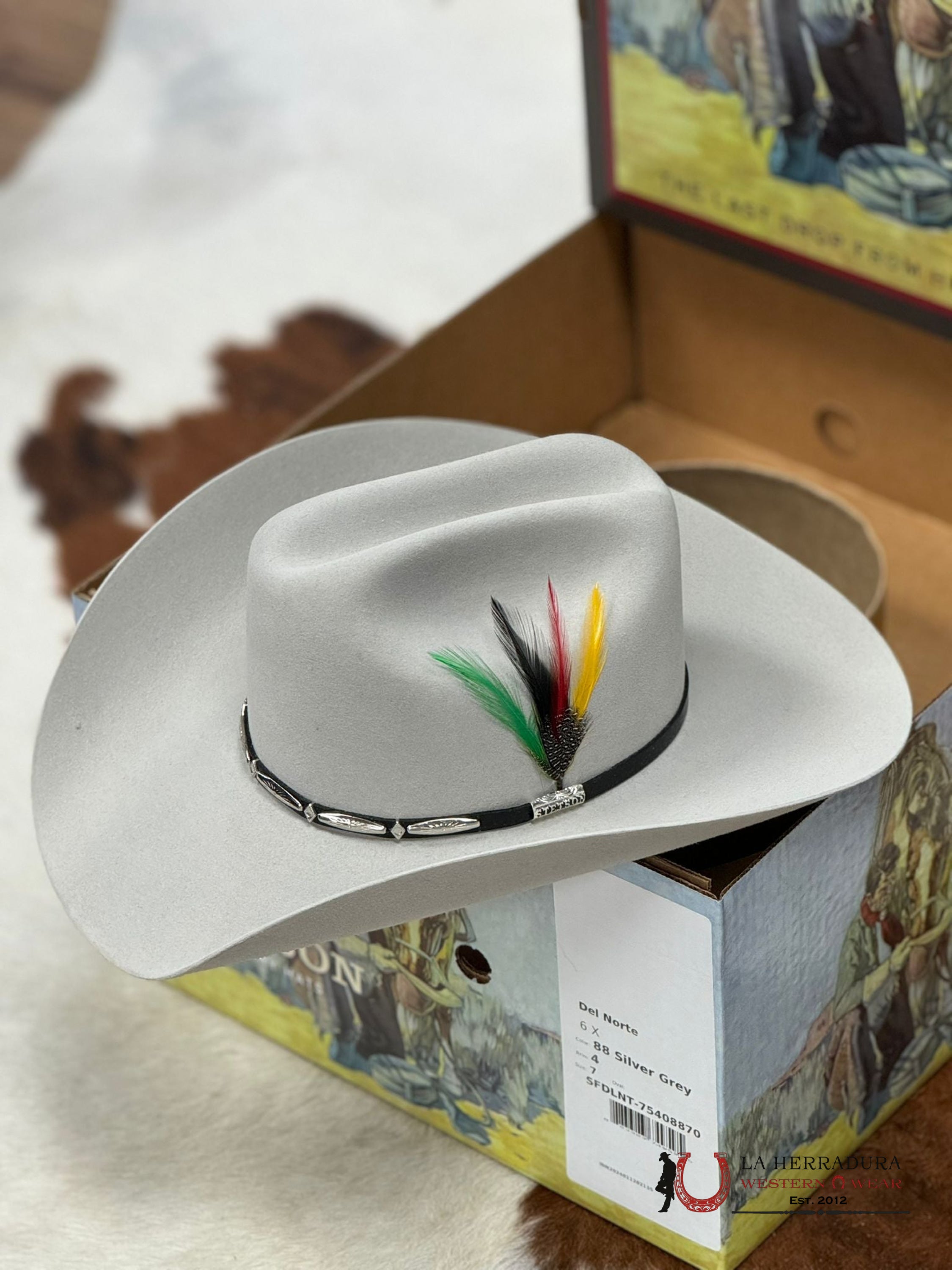 Stetson Del Norte 6X Silver Grey Tejana