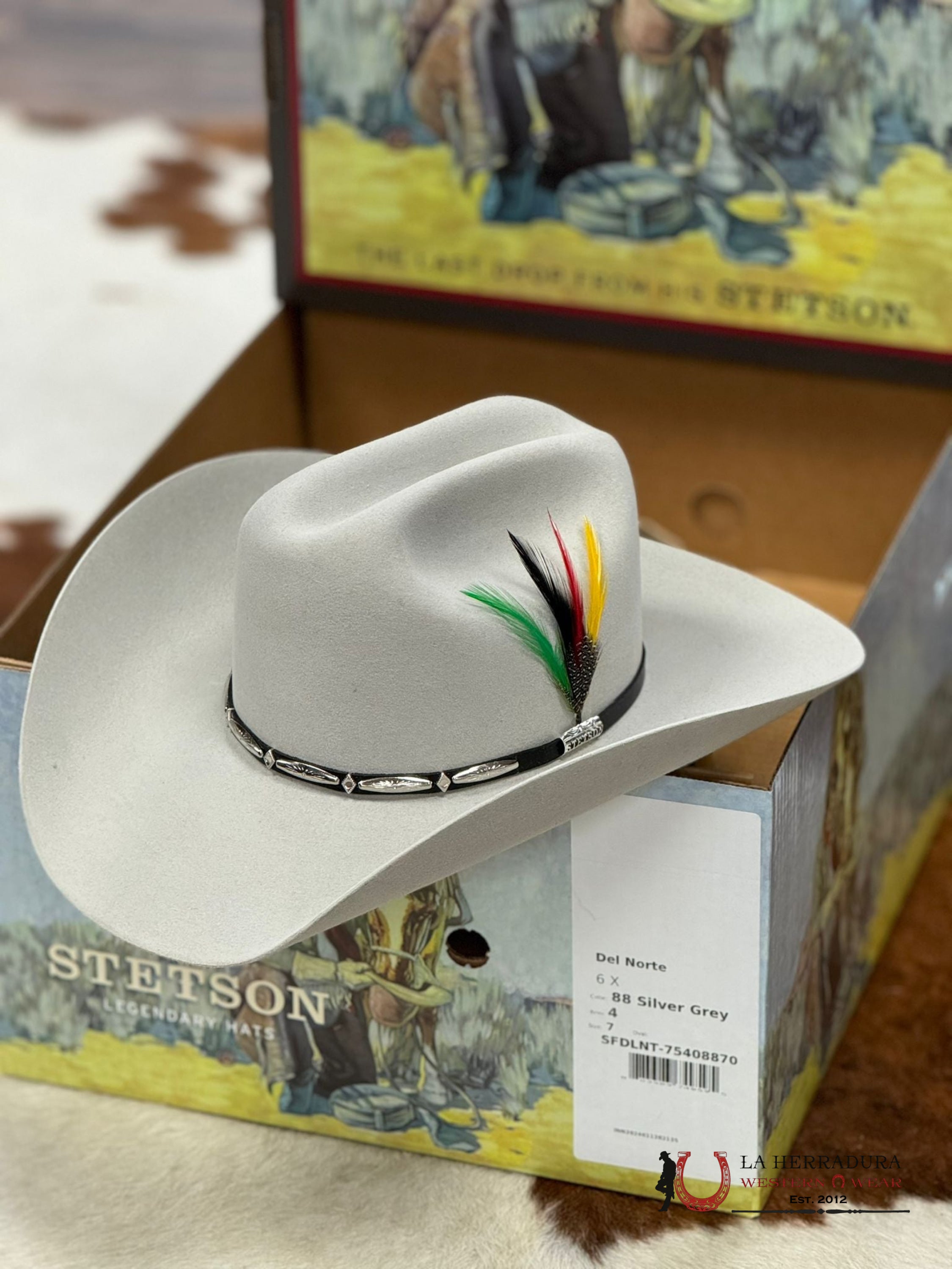 Stetson Del Norte 6X Silver Grey Tejana