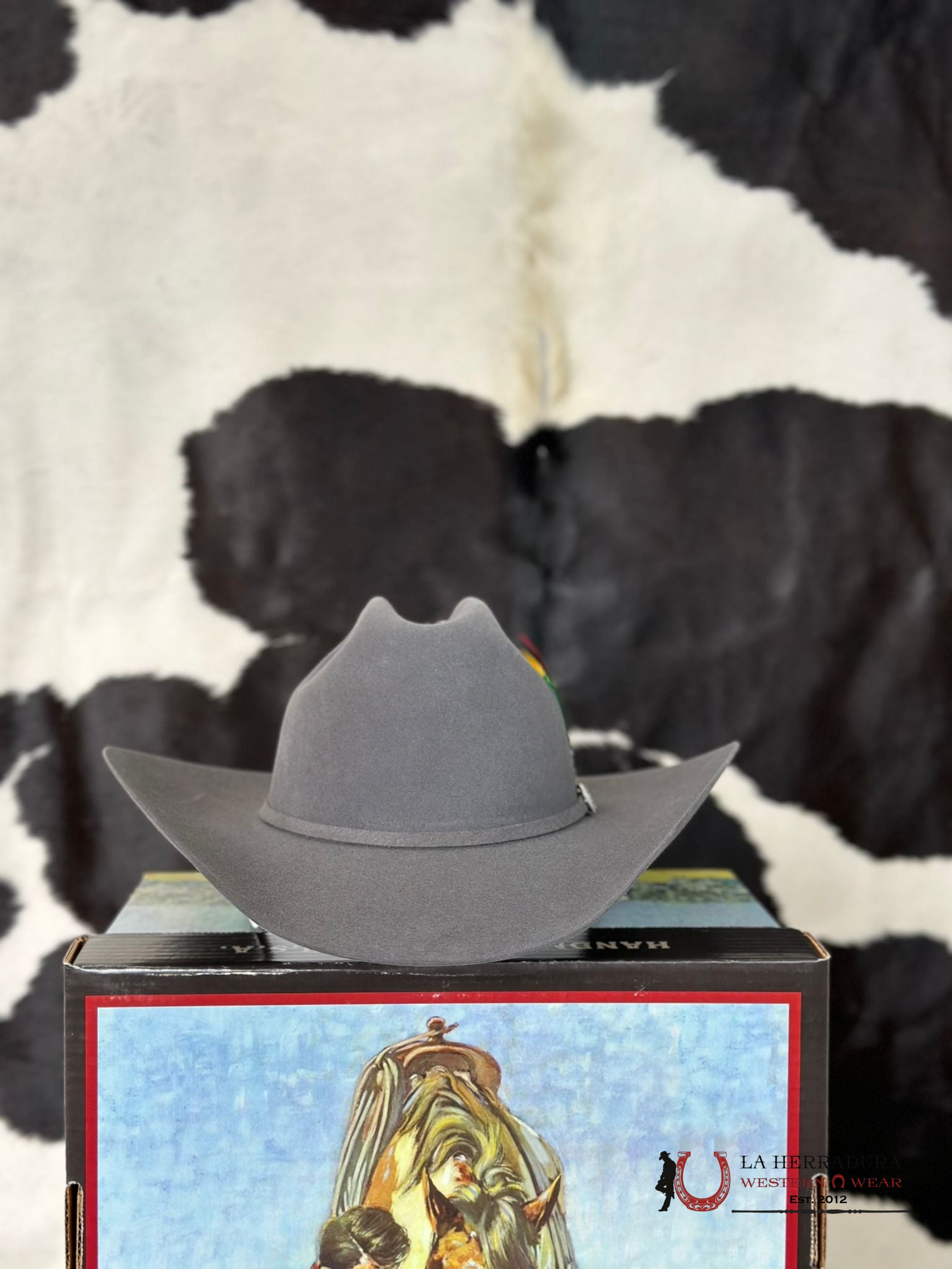 Stetson Skyline 6X Granite Grey Tejana