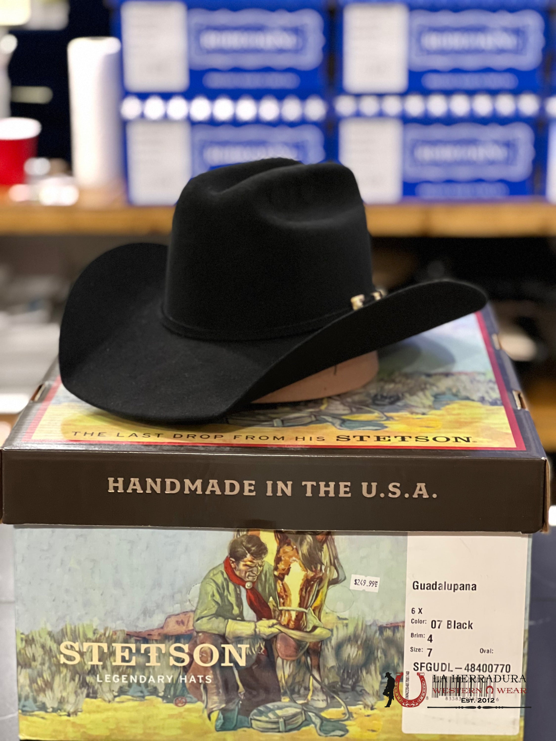 Stetson Guadalupana 6X Negro Tejana