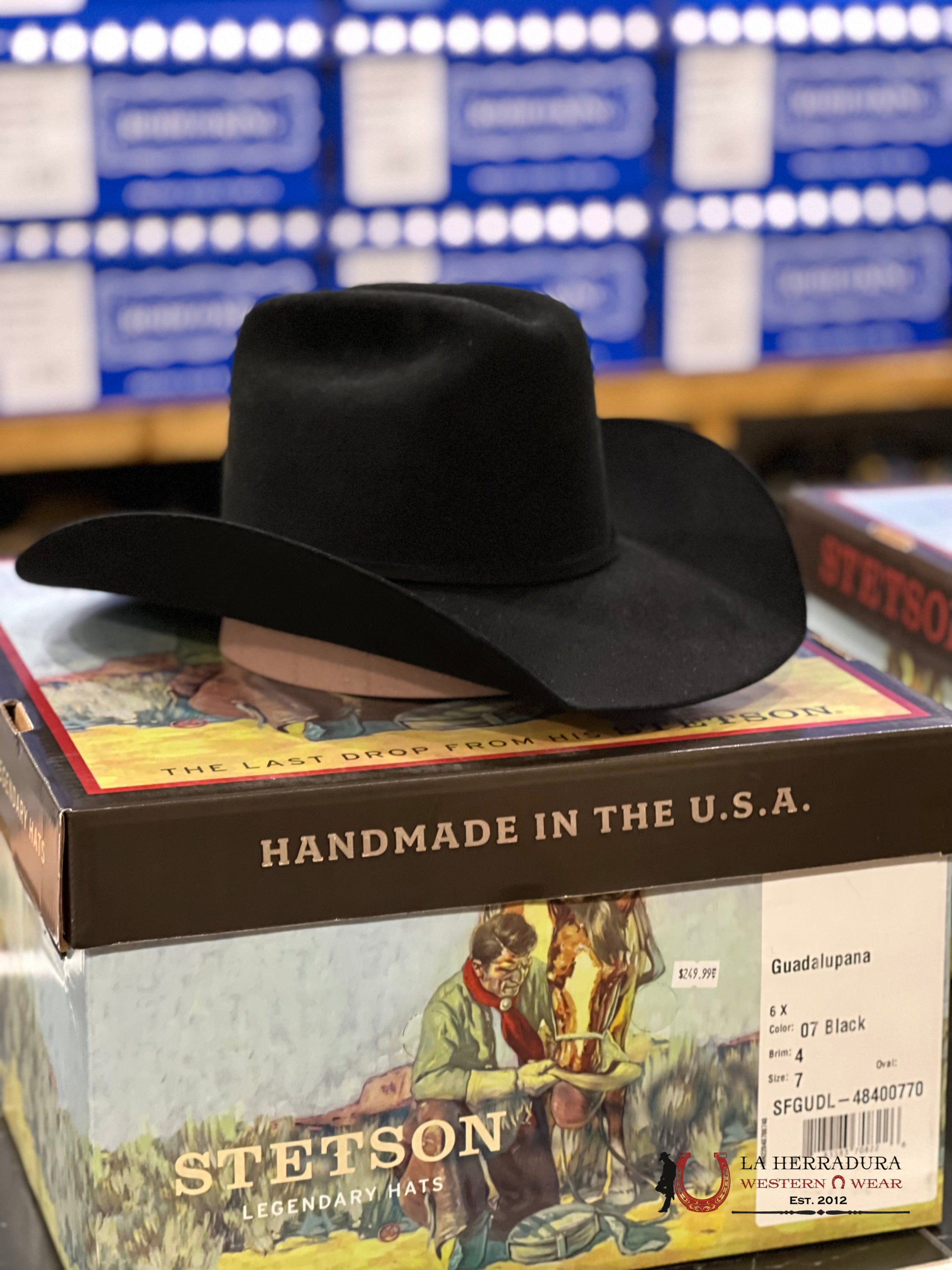 Stetson Guadalupana 6X Negro Tejana