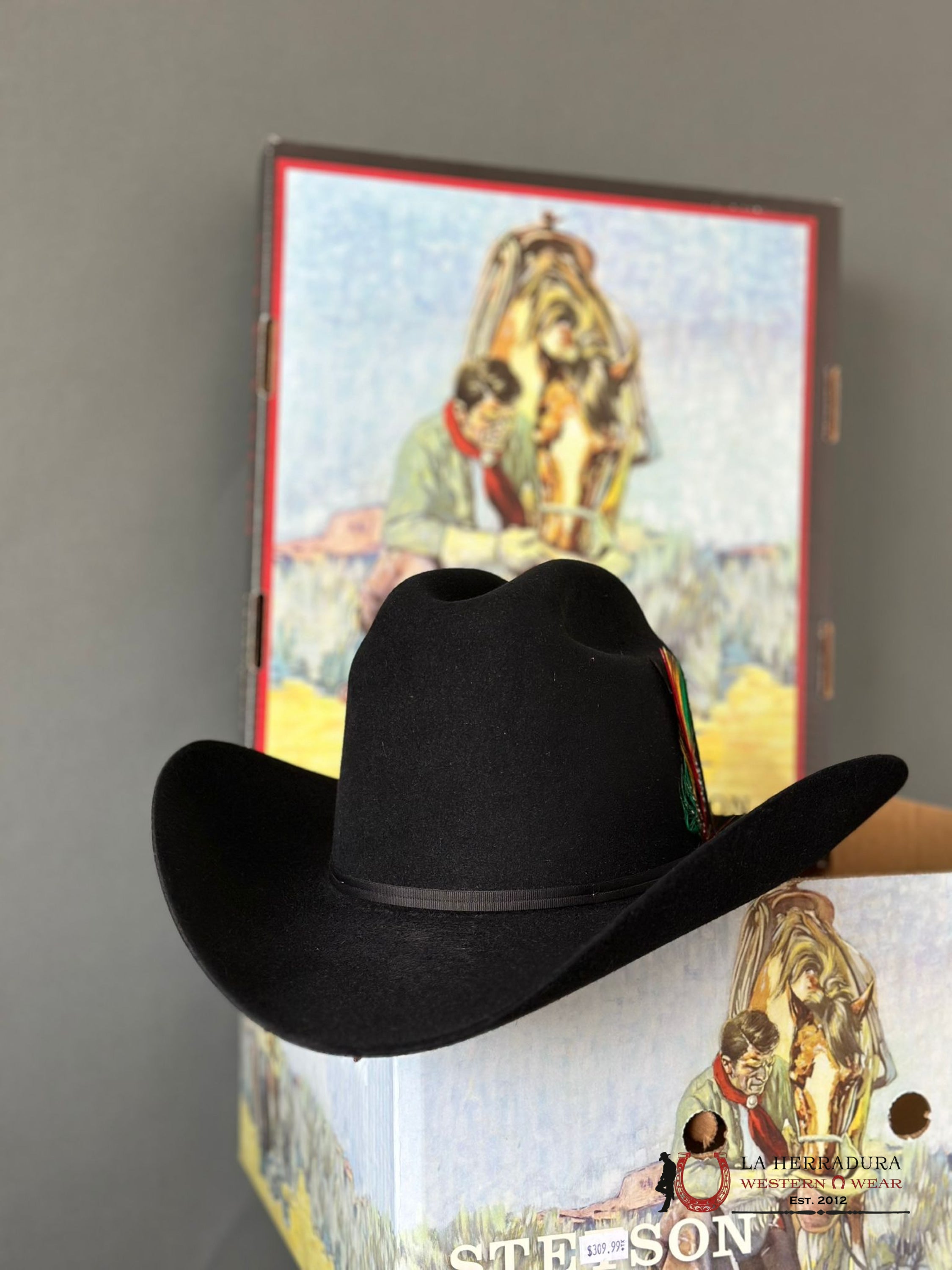 Stetson Rancher 6X Negro Tejana