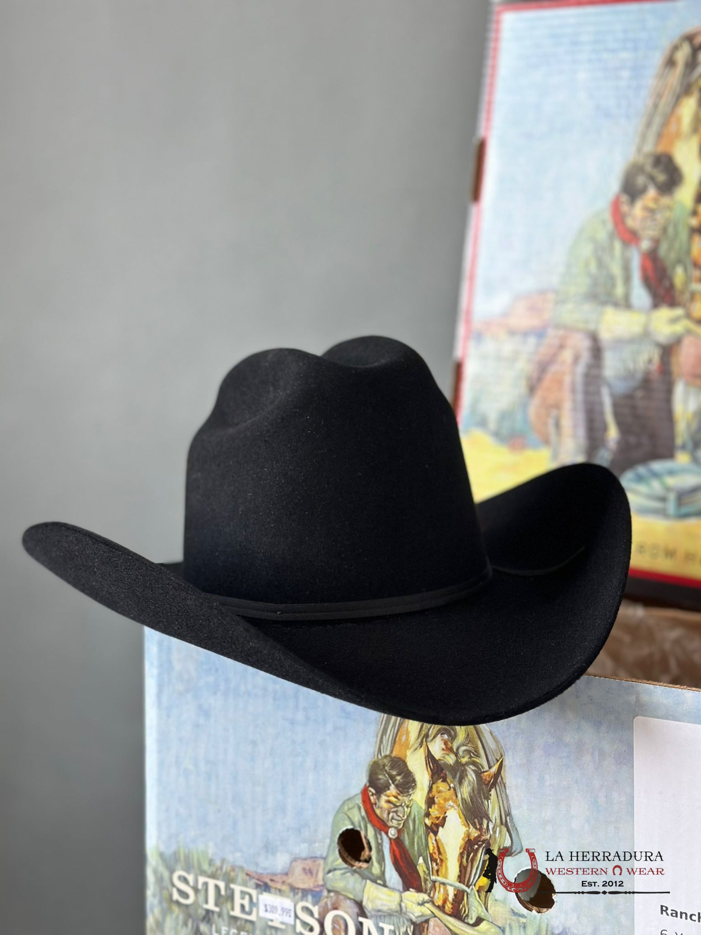 Stetson Rancher 6X Negro Tejana