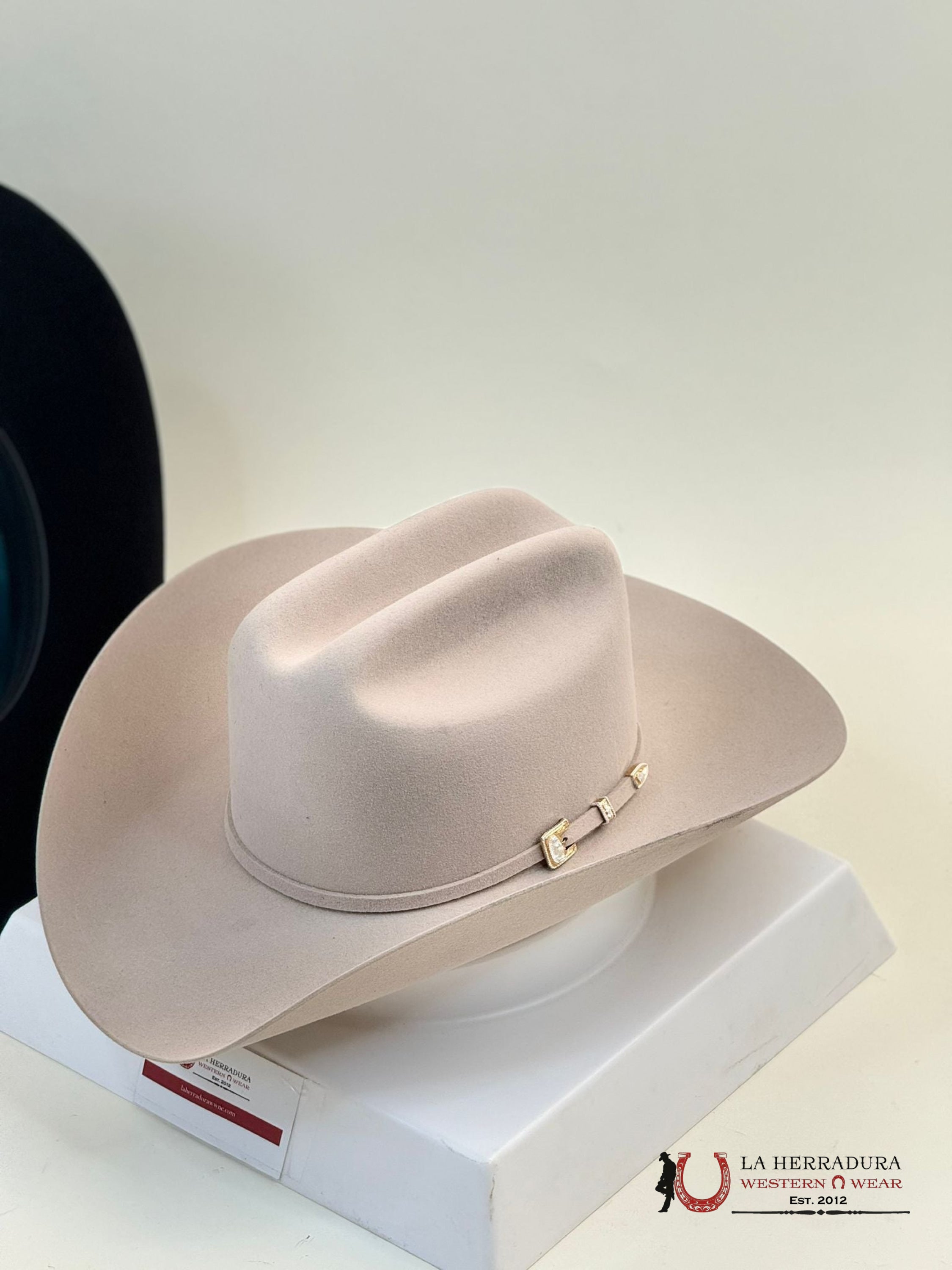 Stetson Guadalupana 6X Silver Belly Tejana