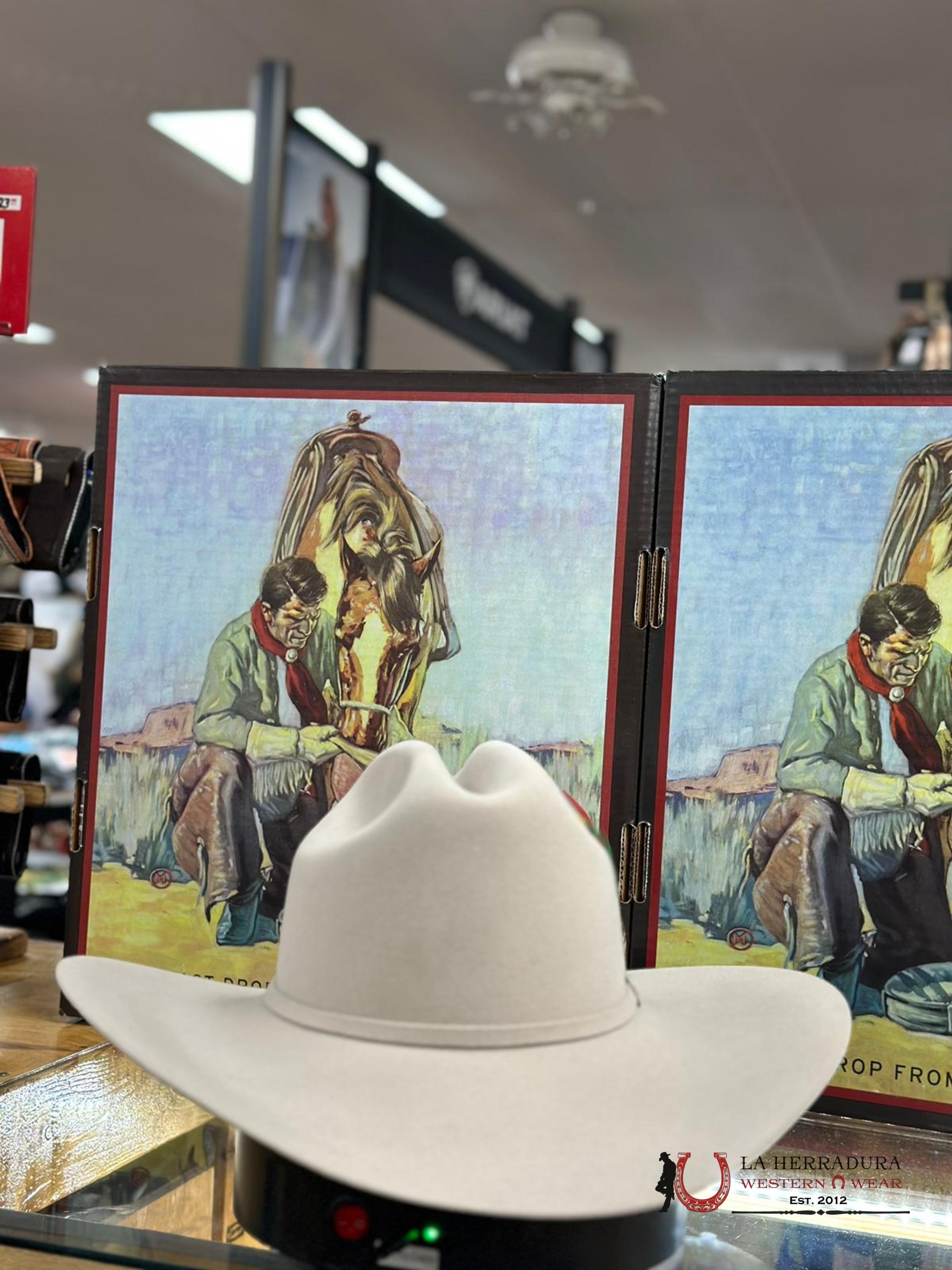 Stetson 6X Silver Belly Skyline Tradicional Tejana