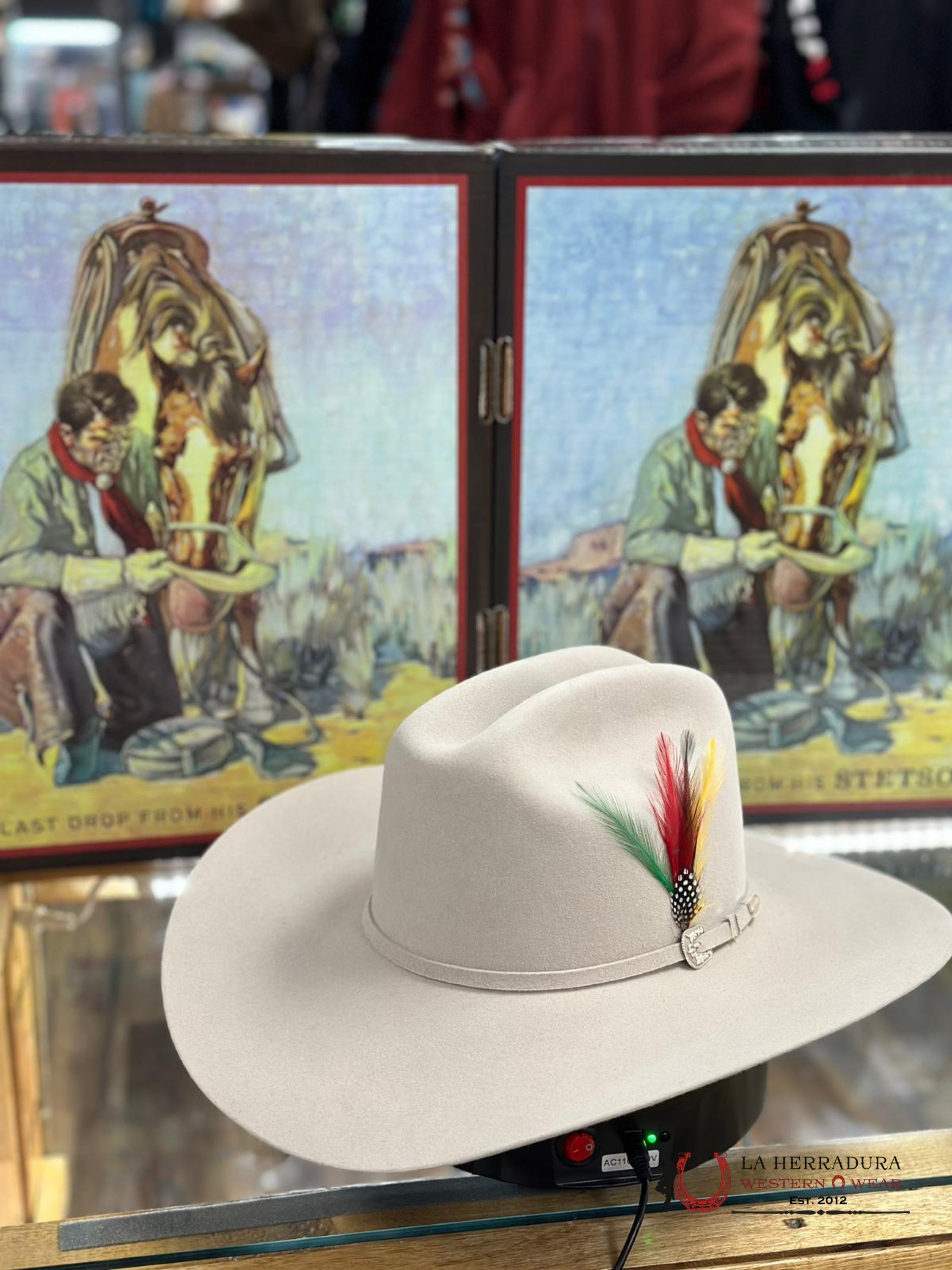 Stetson 6X Silver Belly Skyline Tradicional Tejana