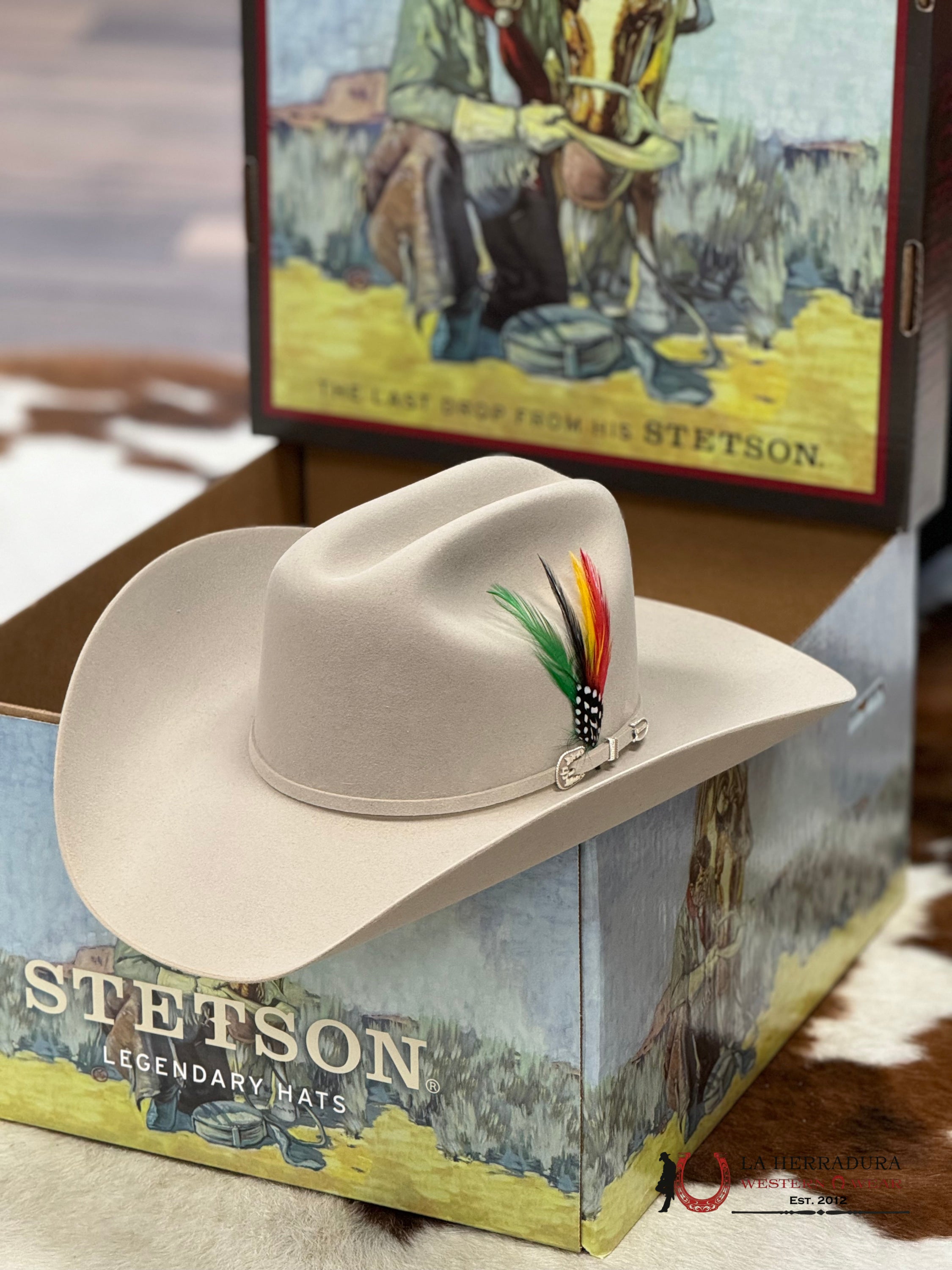 Stetson 6X Silver Belly Skyline Tradicional Tejana