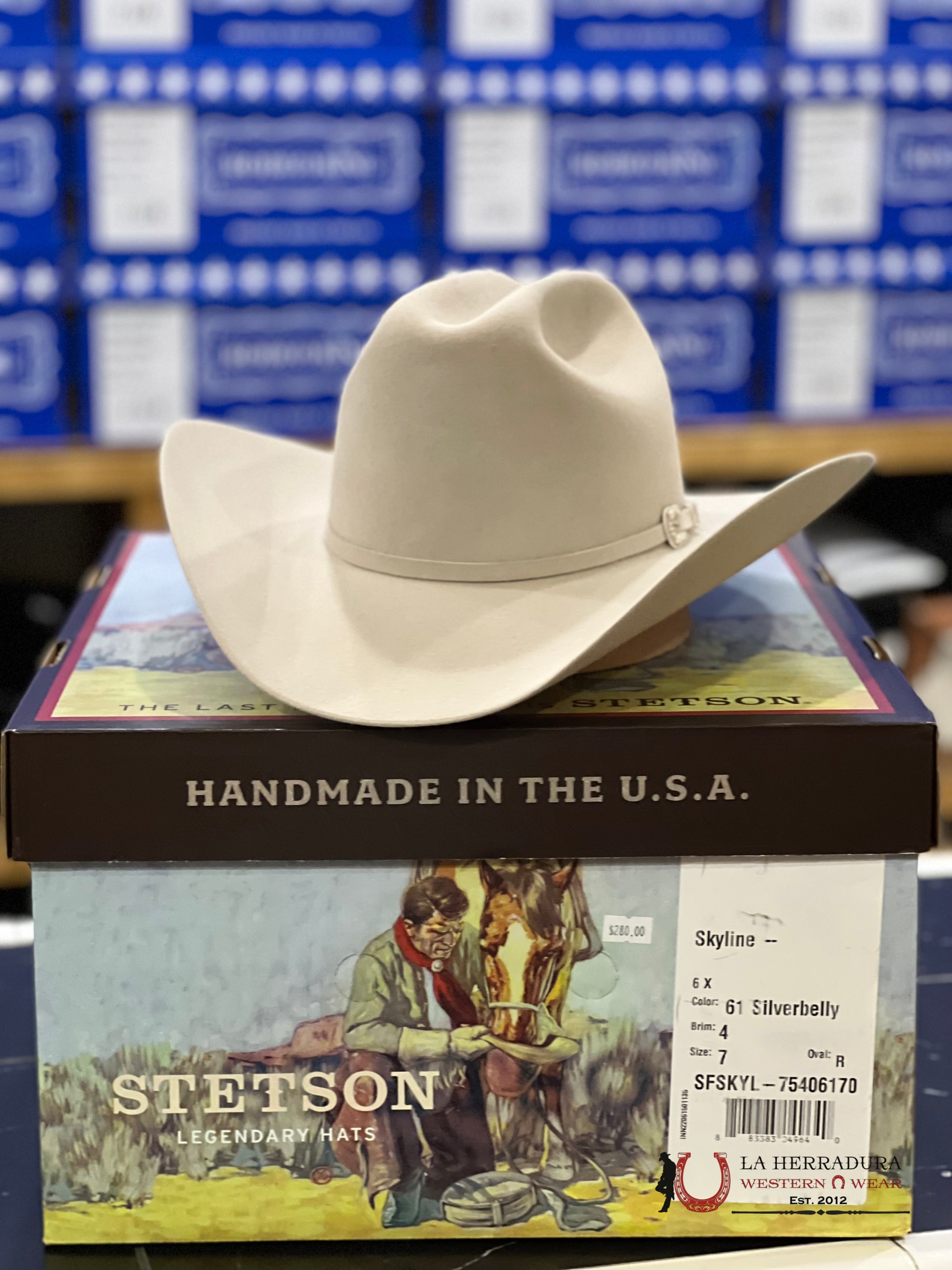 Stetson 6X Silver Belly Skyline Tradicional Tejana