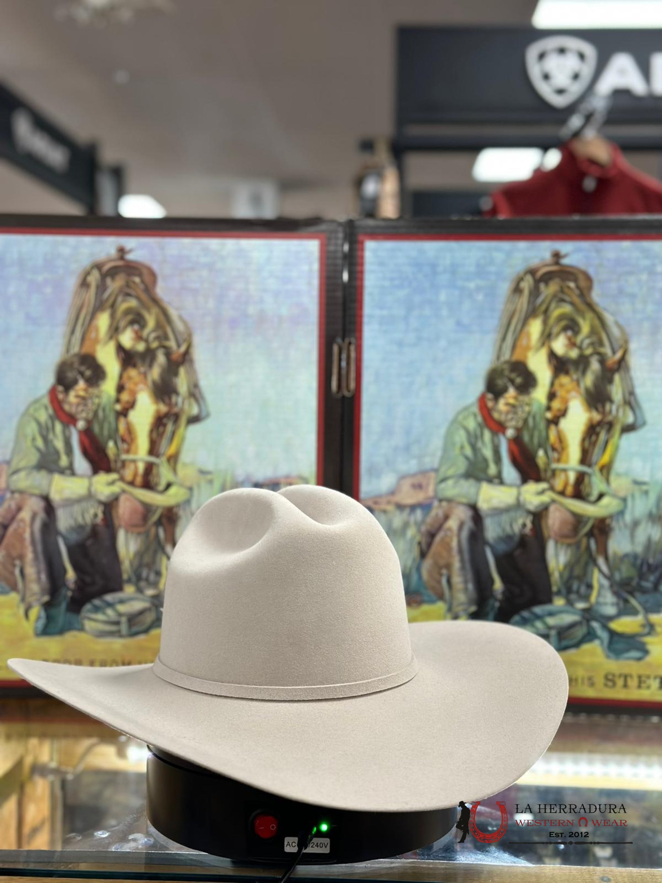 Stetson 6X Silver Belly Skyline Tradicional Tejana