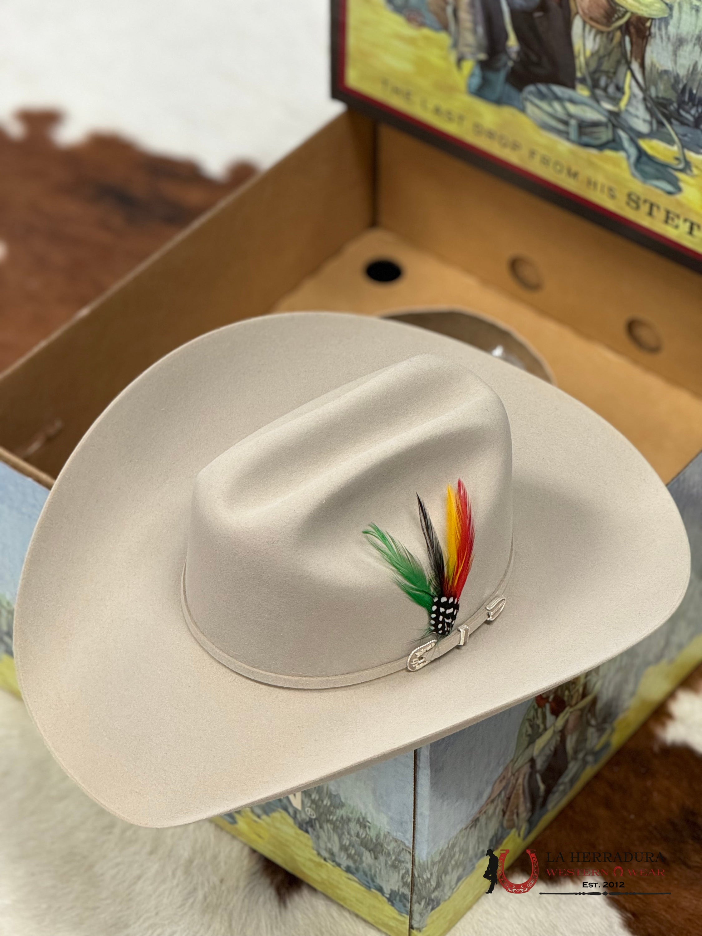 Stetson 6X Silver Belly Skyline Tradicional Tejana
