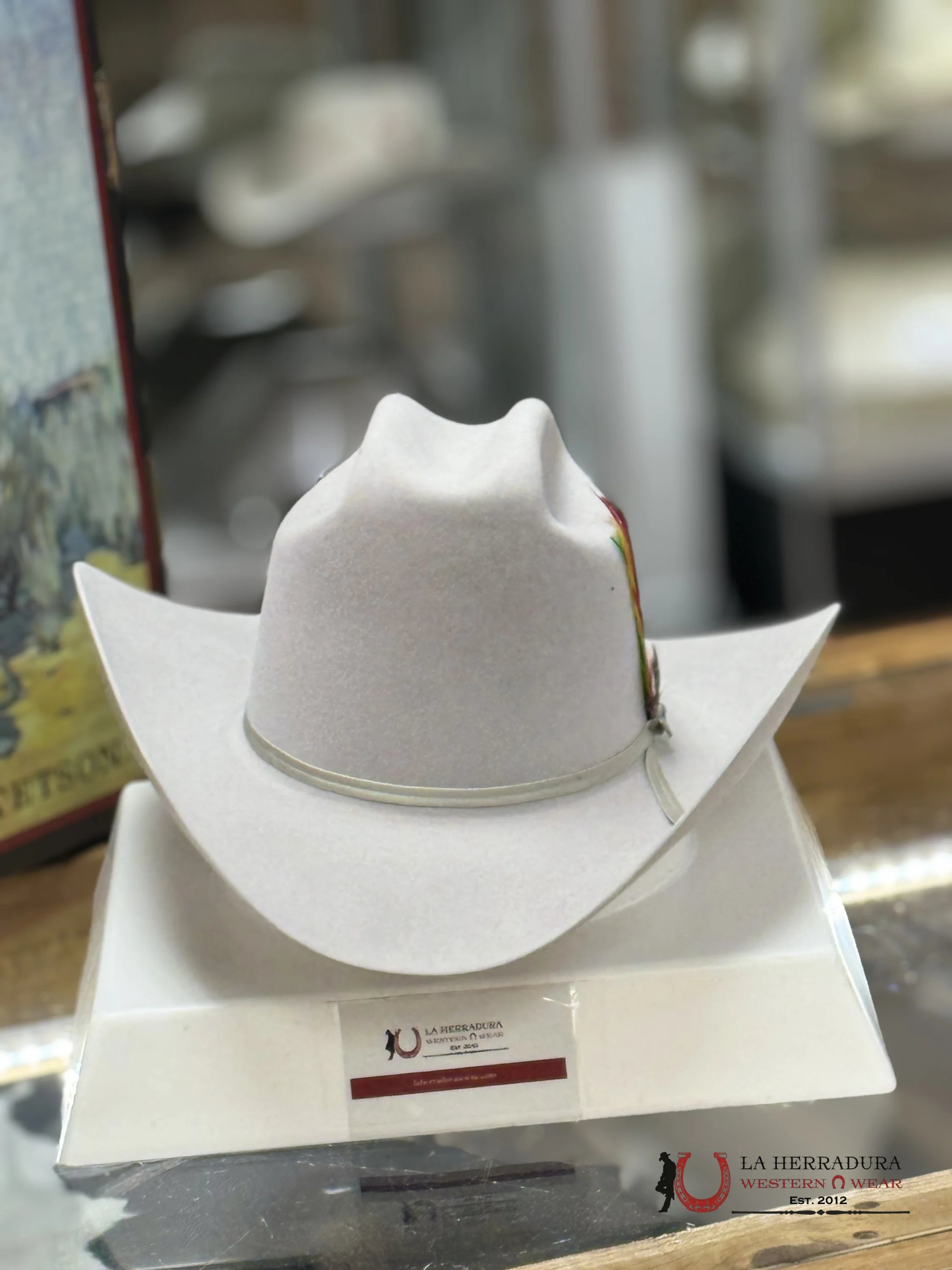 Stetson 6X Rancher Copa Alta Silver Grey Tejana