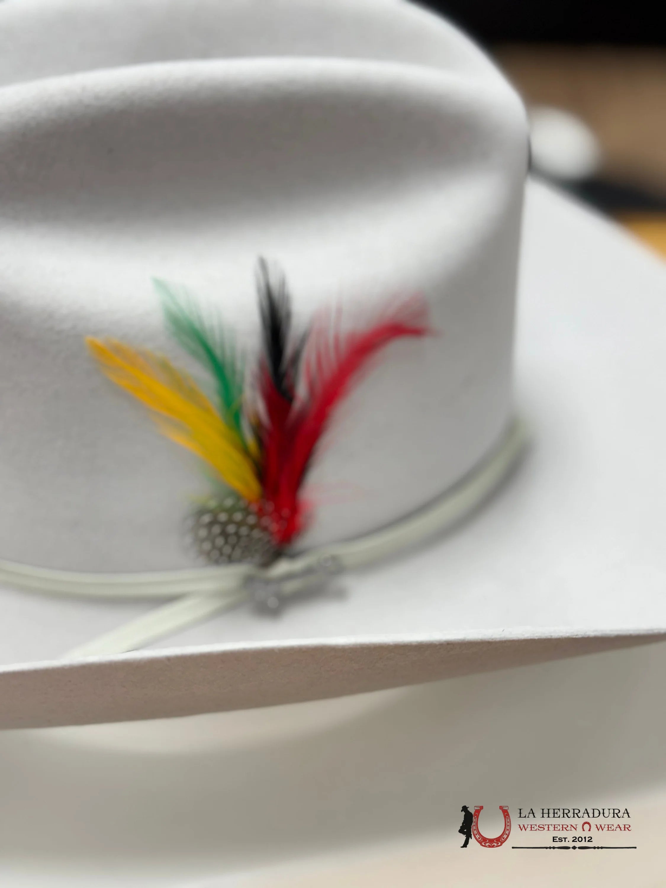 Stetson 6X Rancher Copa Alta Silver Grey Tejana